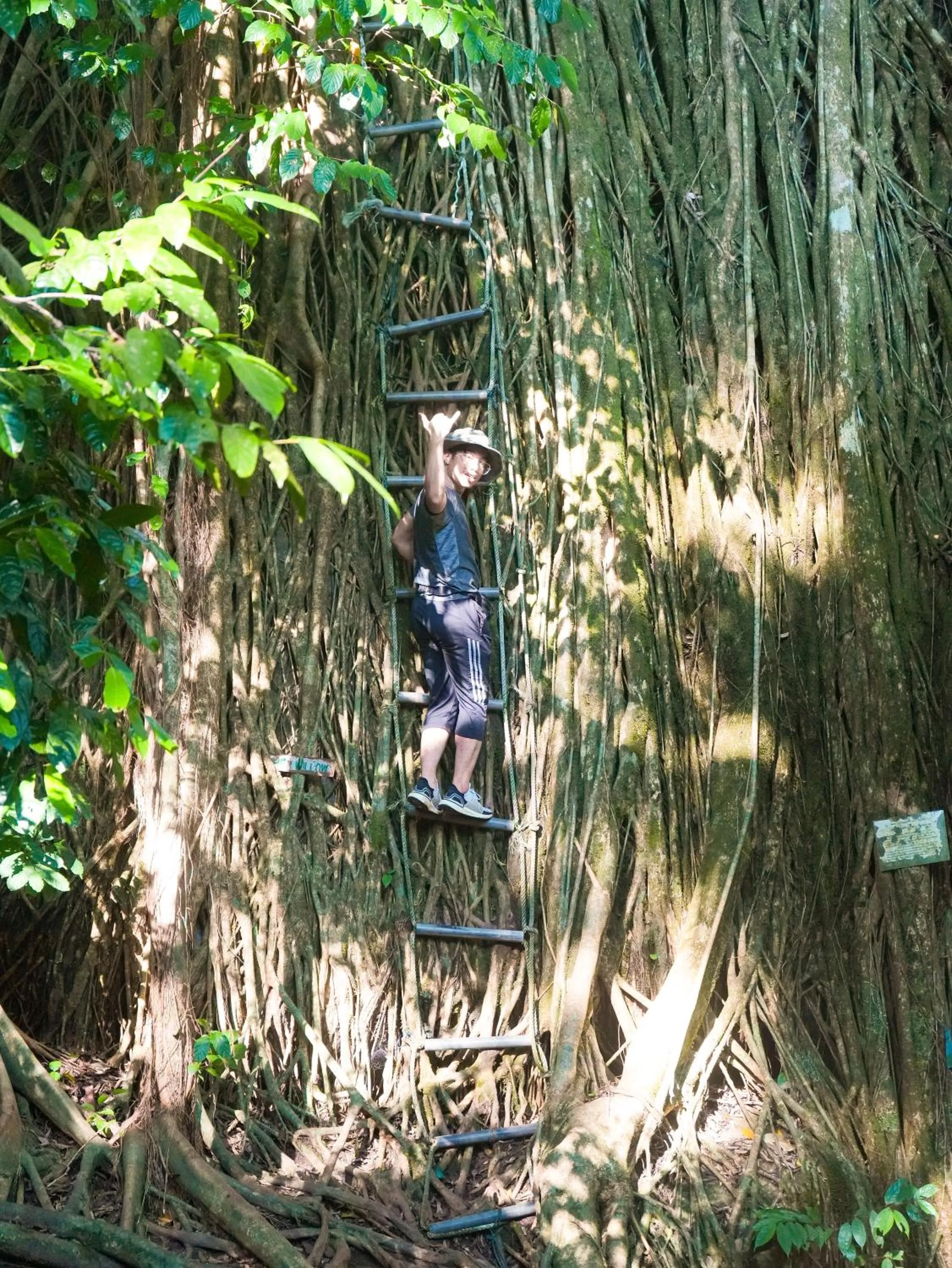 Hiking in Impian Inn