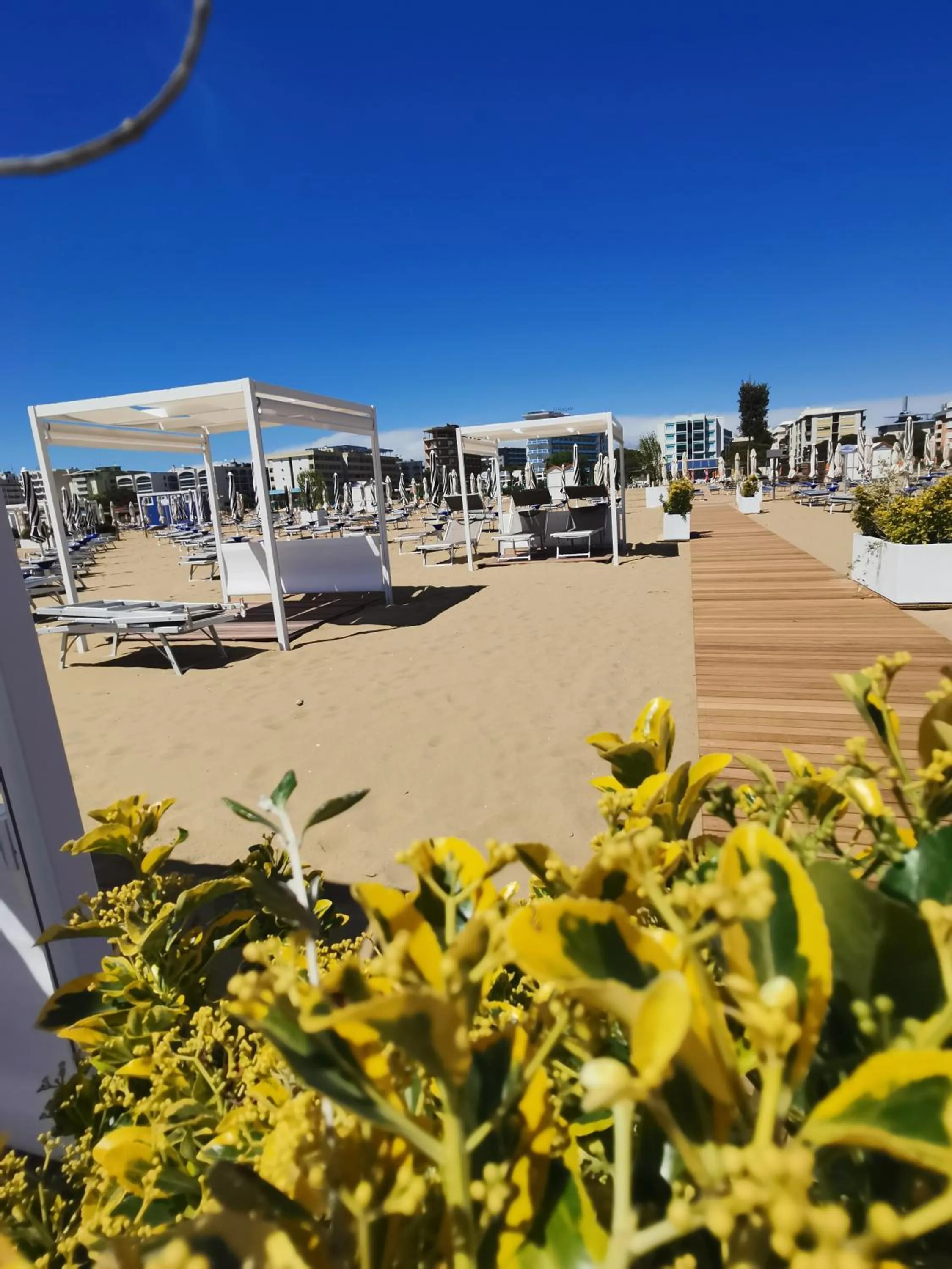 Beach in Hotel Astoria