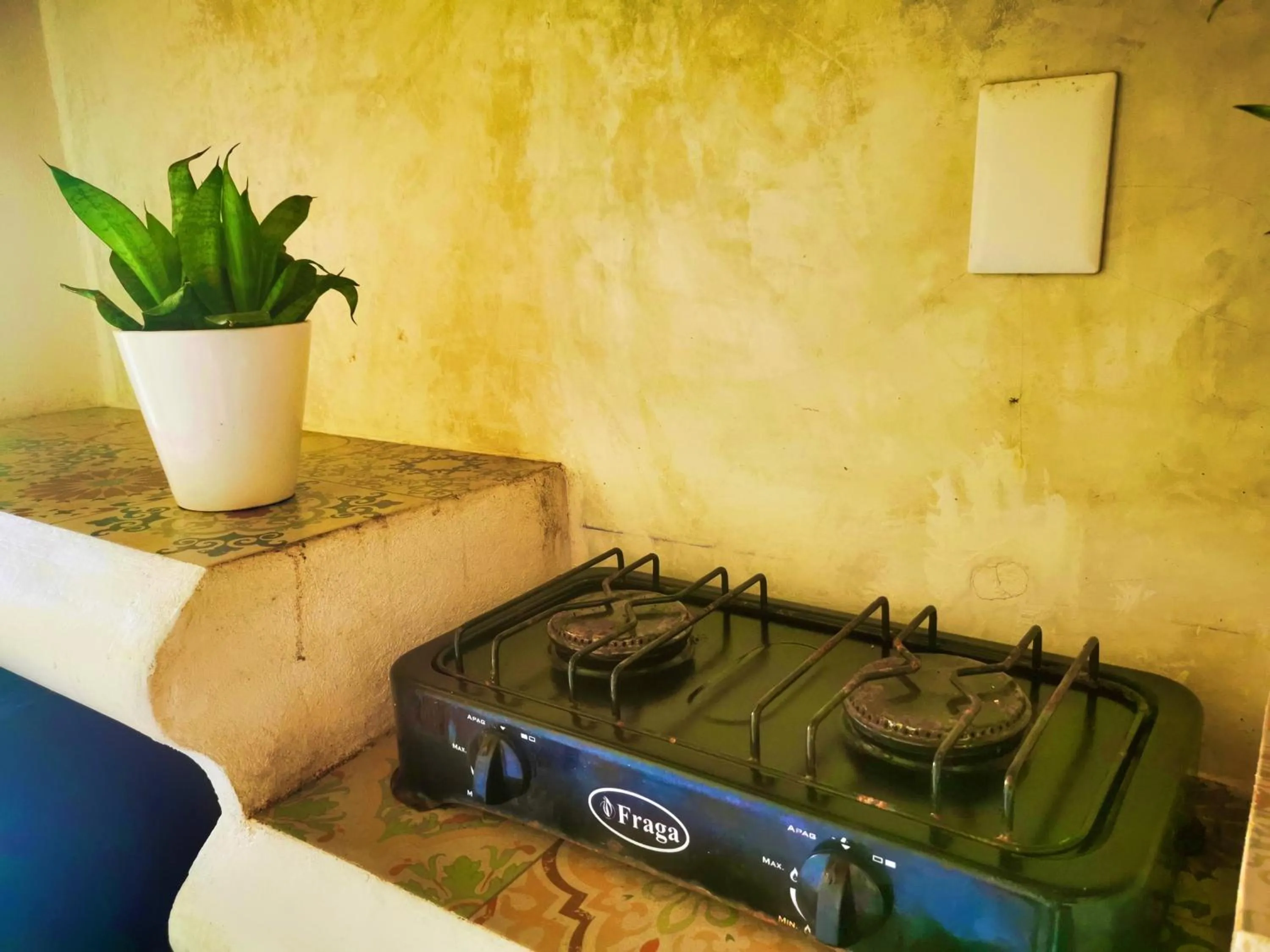 Food close-up in La Casa de Mia Tulum