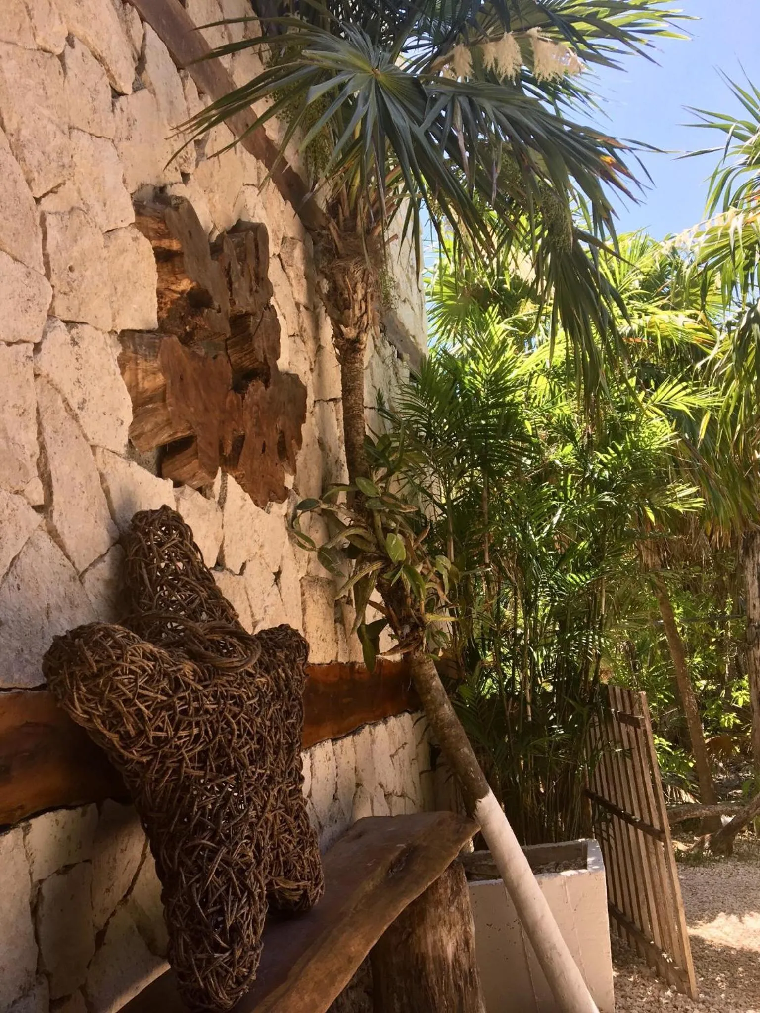 Garden in La Casa de Mia Tulum