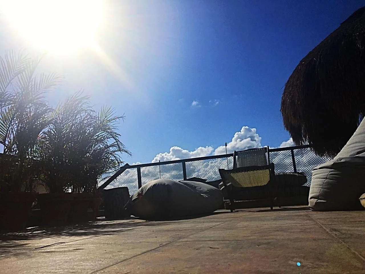 View (from property/room) in La Casa de Mia Tulum