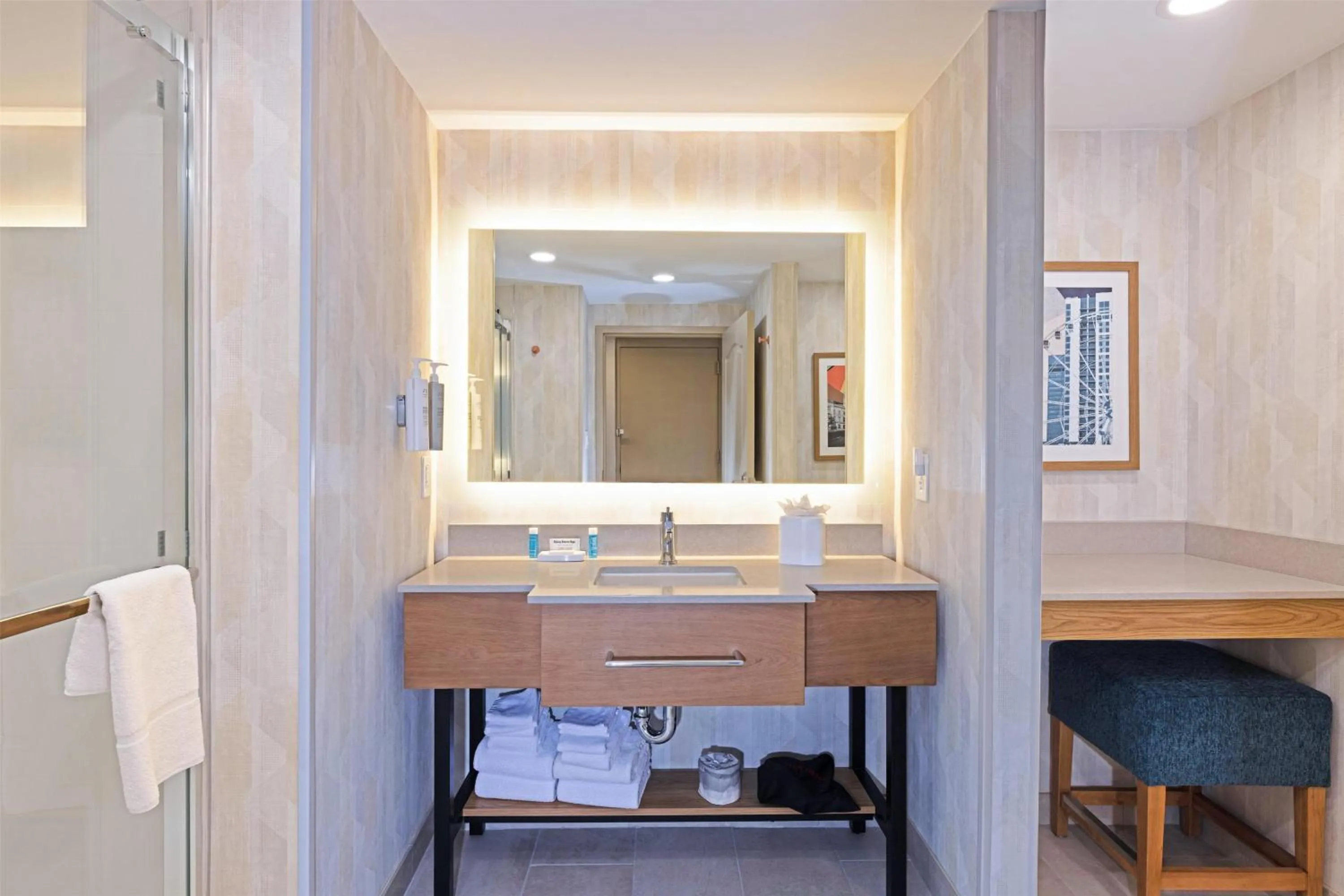 Bathroom in Hampton Inn Lawrenceville Duluth