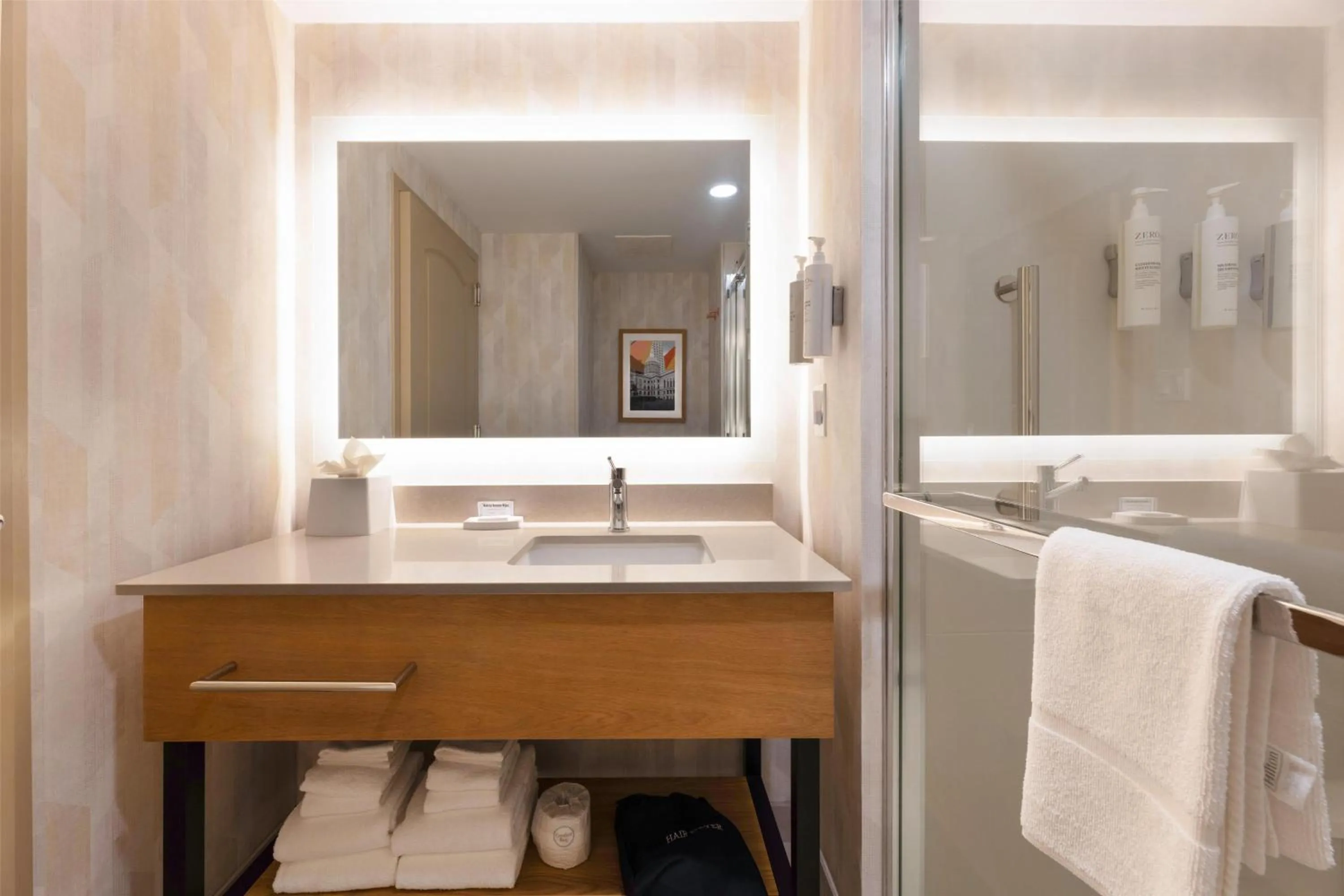 Bathroom in Hampton Inn Lawrenceville Duluth