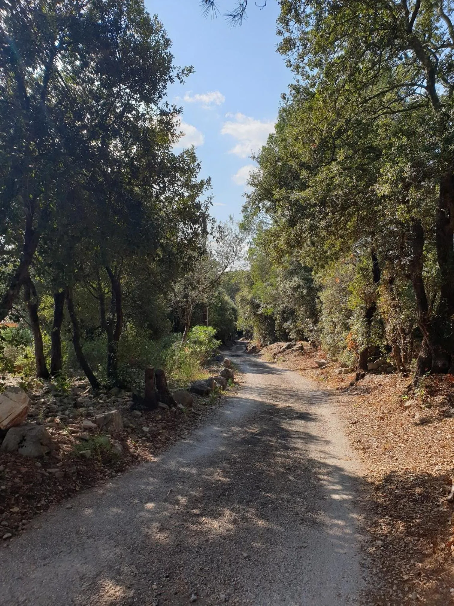 Le Petit Coin de Paradis