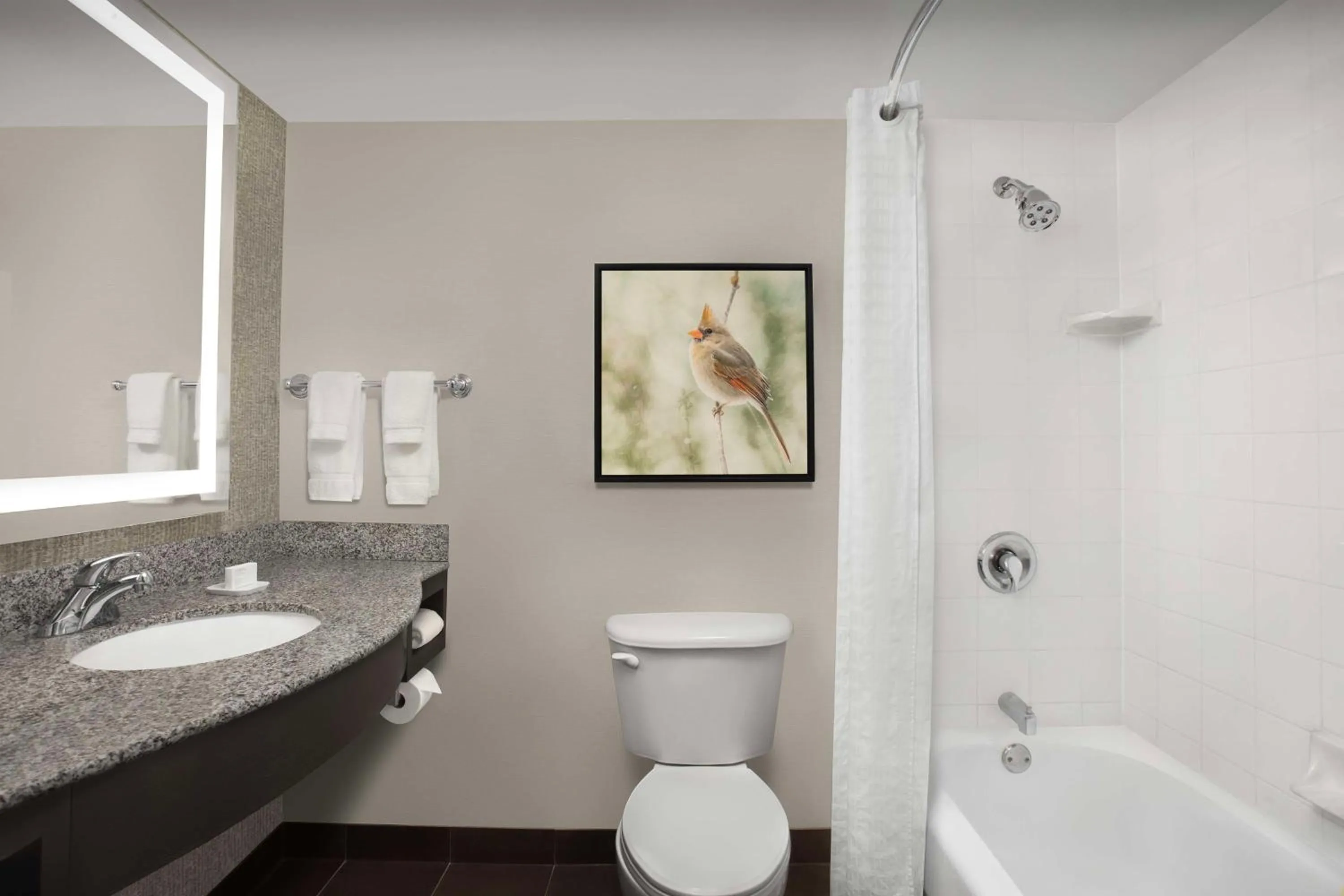 Bathroom in Hilton Garden Inn Hoffman Estates