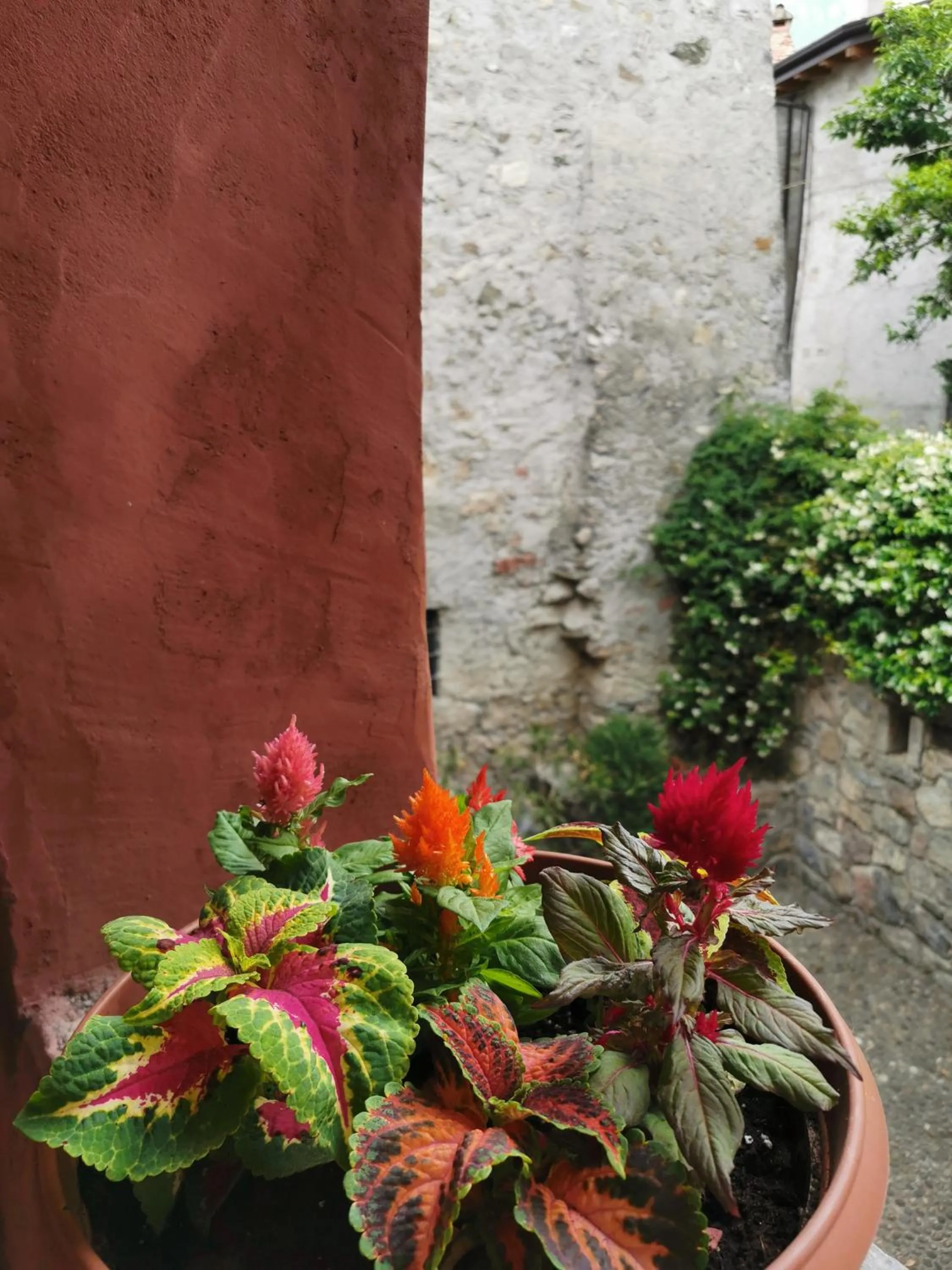 Spring in Alla Torre del Barbarossa B&B FORESTERIA