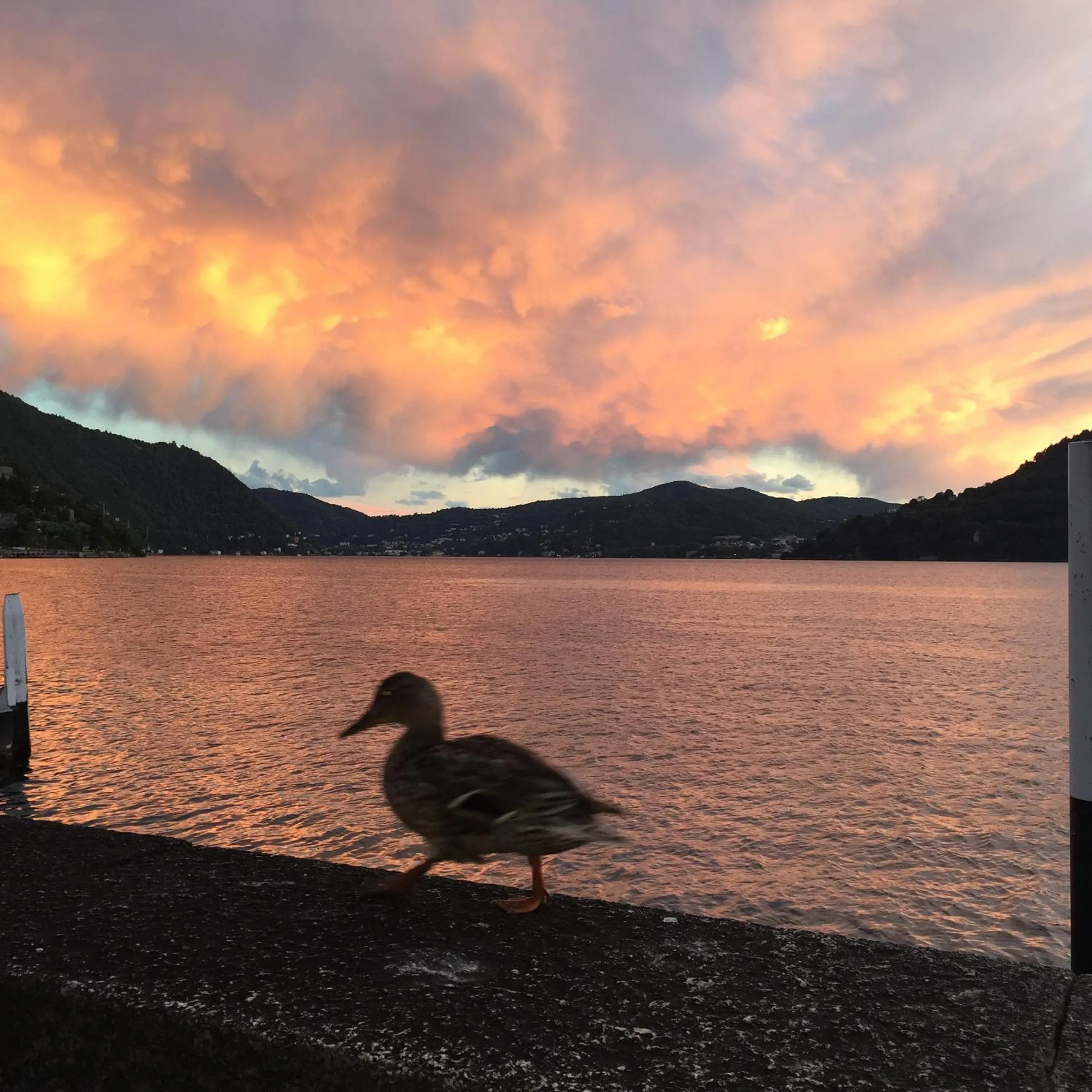 Neighbourhood in Hotel Vapore