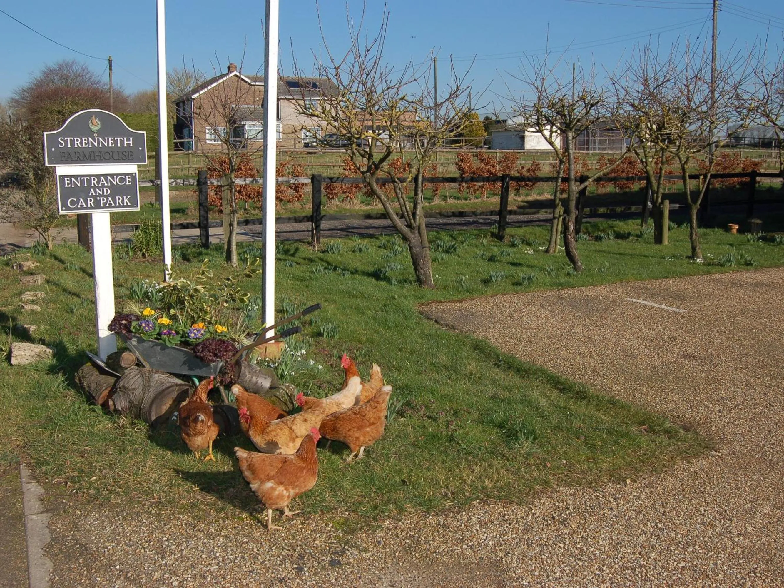 Property building in Strenneth