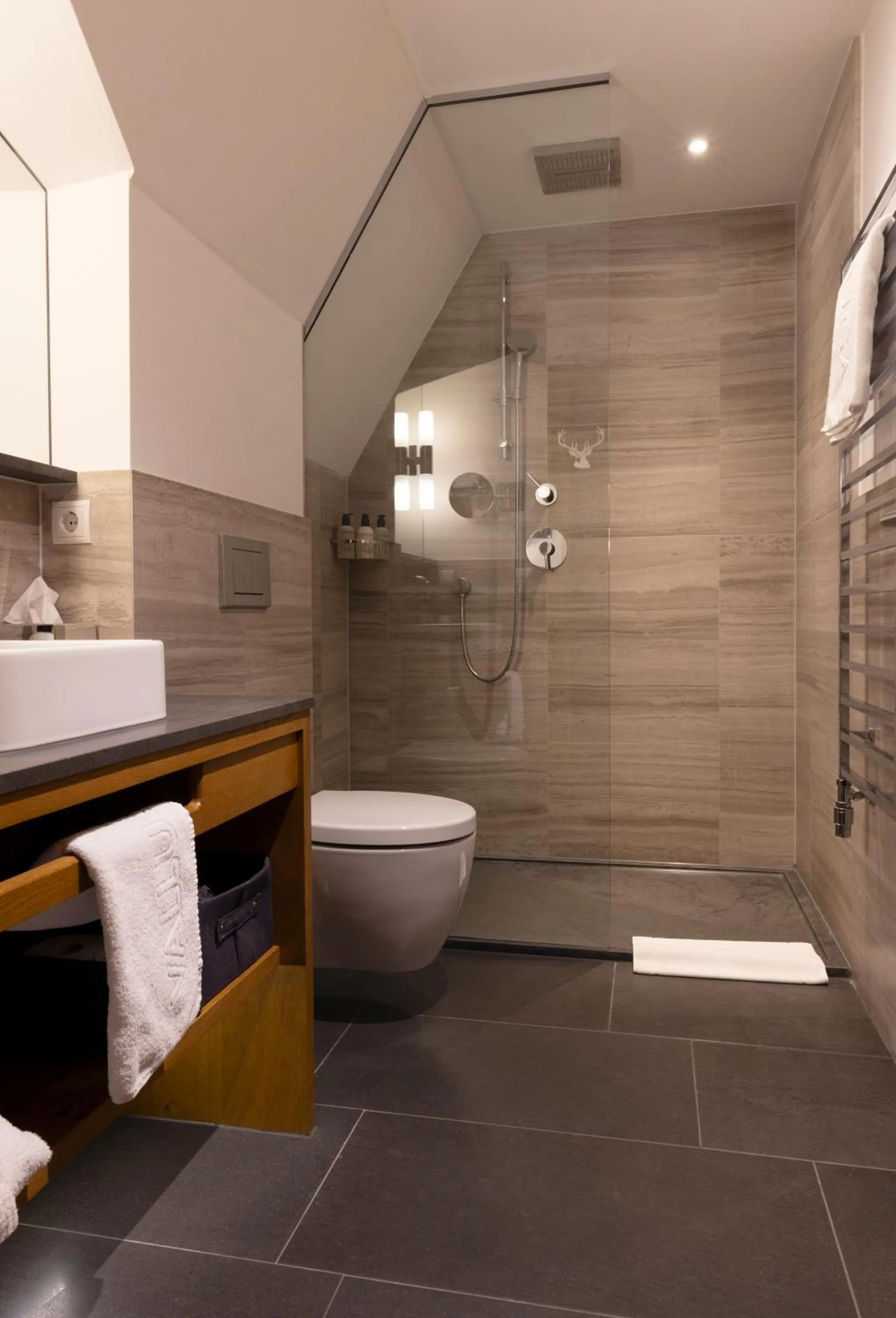 Shower in Valluga Hotel