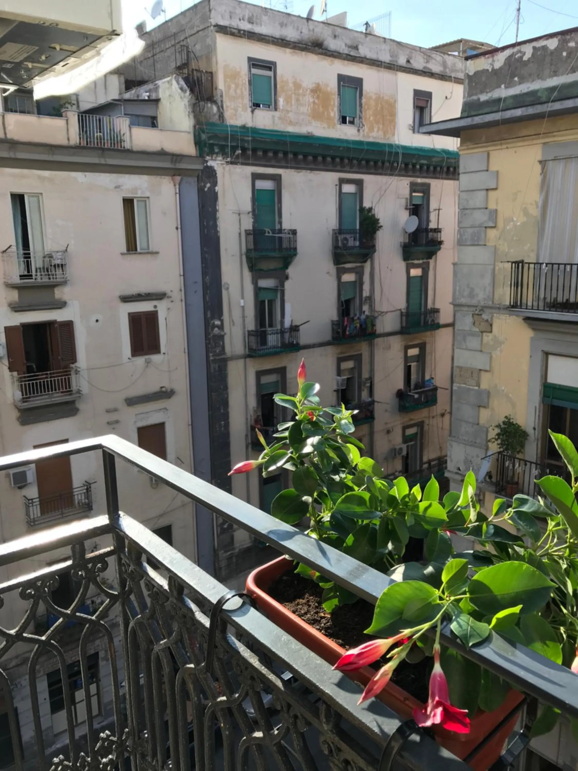 Balcony/Terrace in Joy Naples