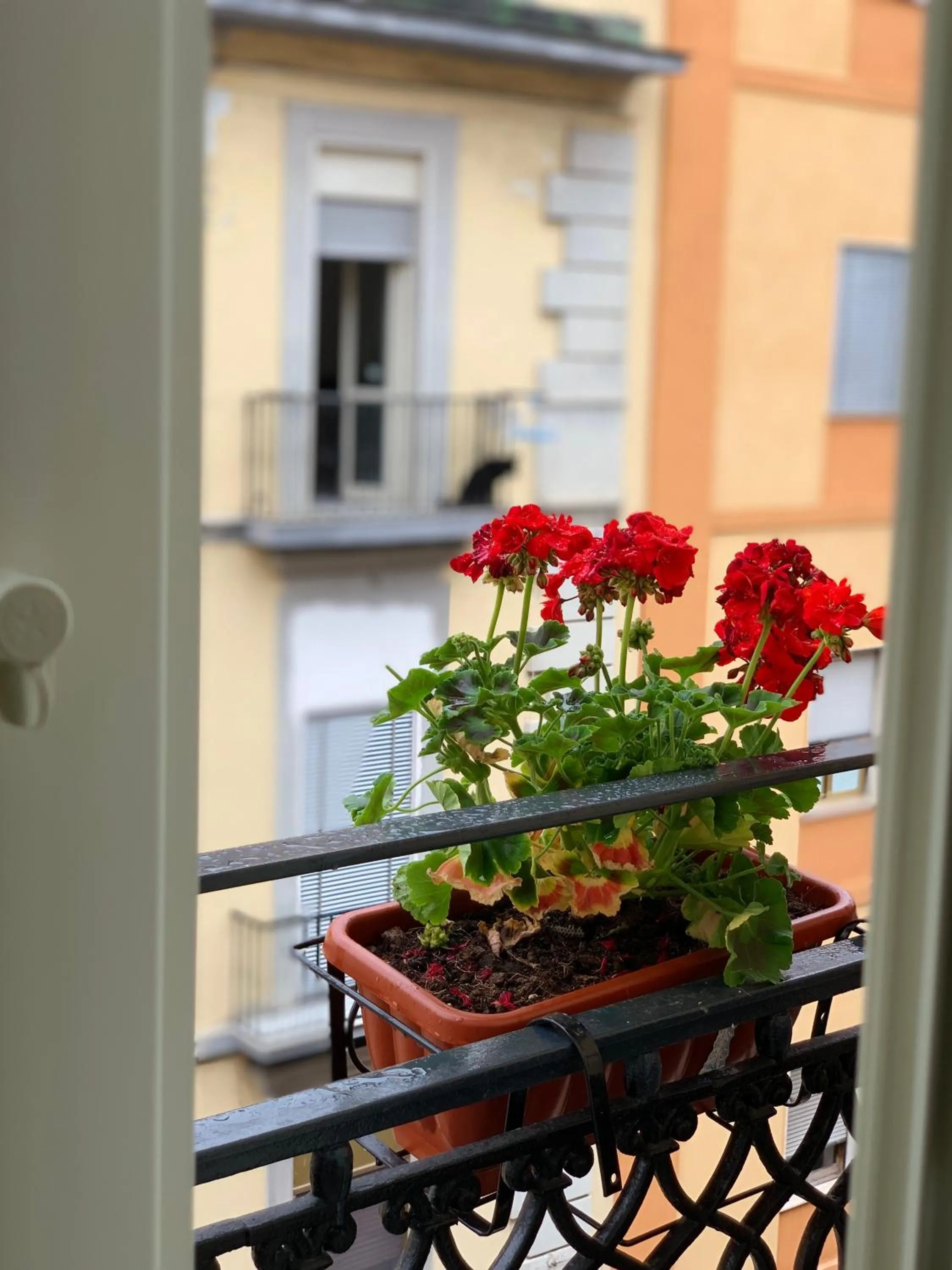 Balcony/Terrace in Joy Naples