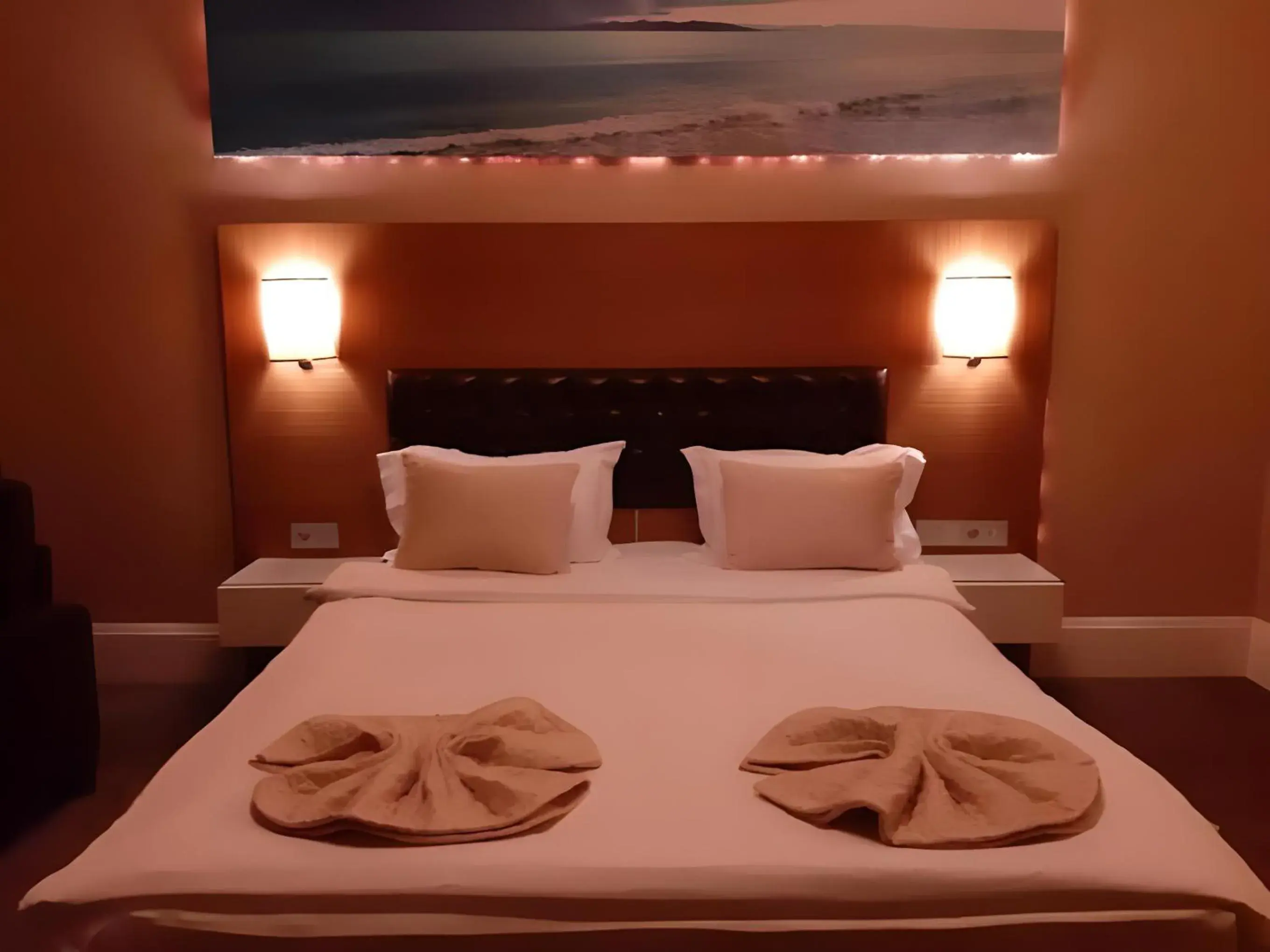 Large Double Room in City Hotel Plovdiv Large Double Room in City Hotel Plovdiv