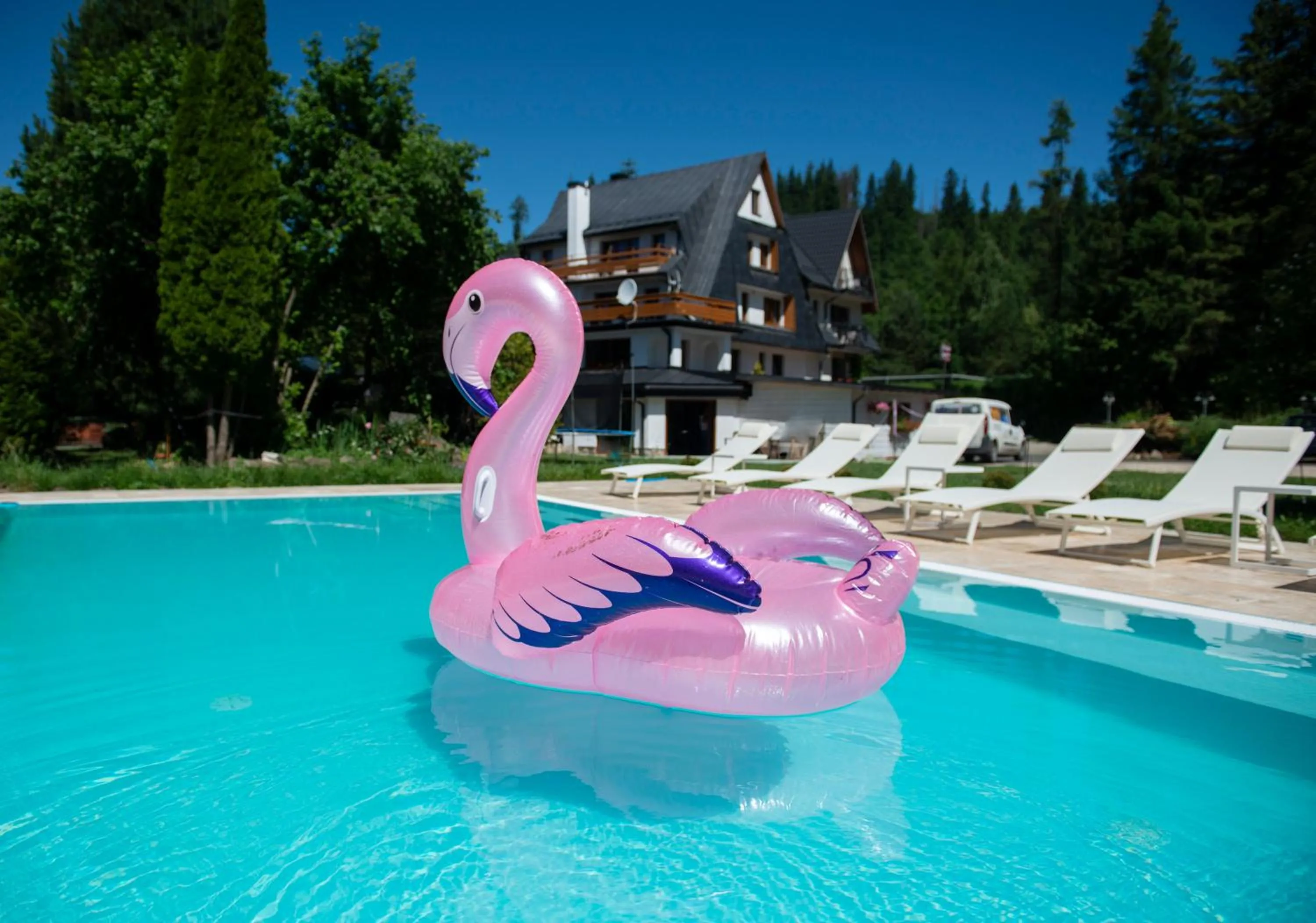 Pool view in Paryżanka Basen Spa