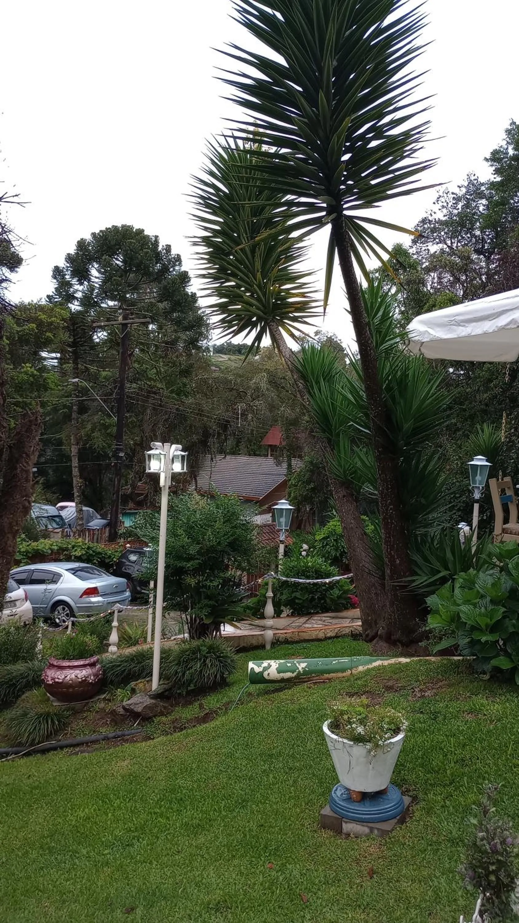 Rancho da Raposa em Campos do Jordão