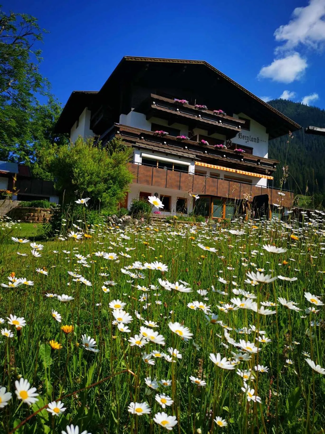 Property building in Gästehaus Bergland