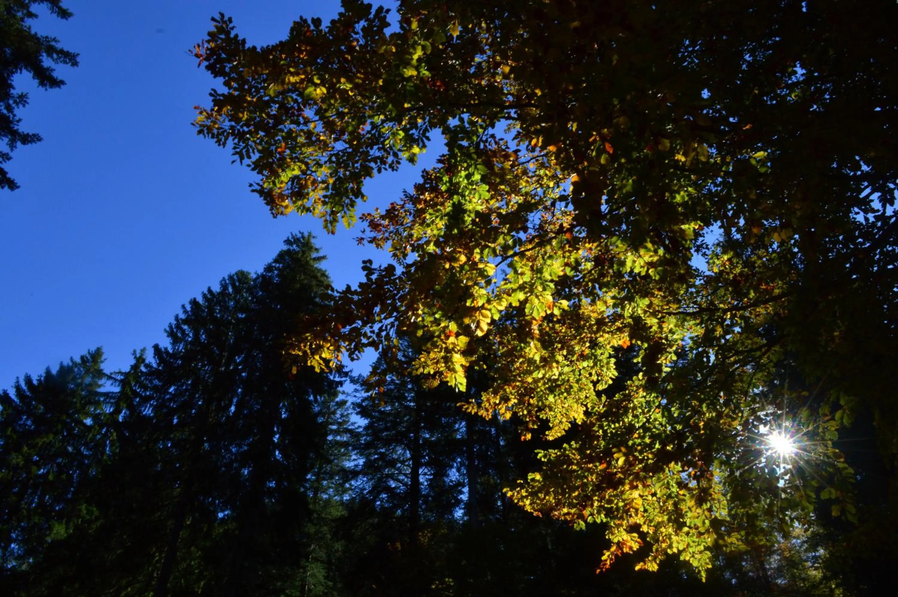 Hiking in Hotel Garnì Sant'Antonio con Spa