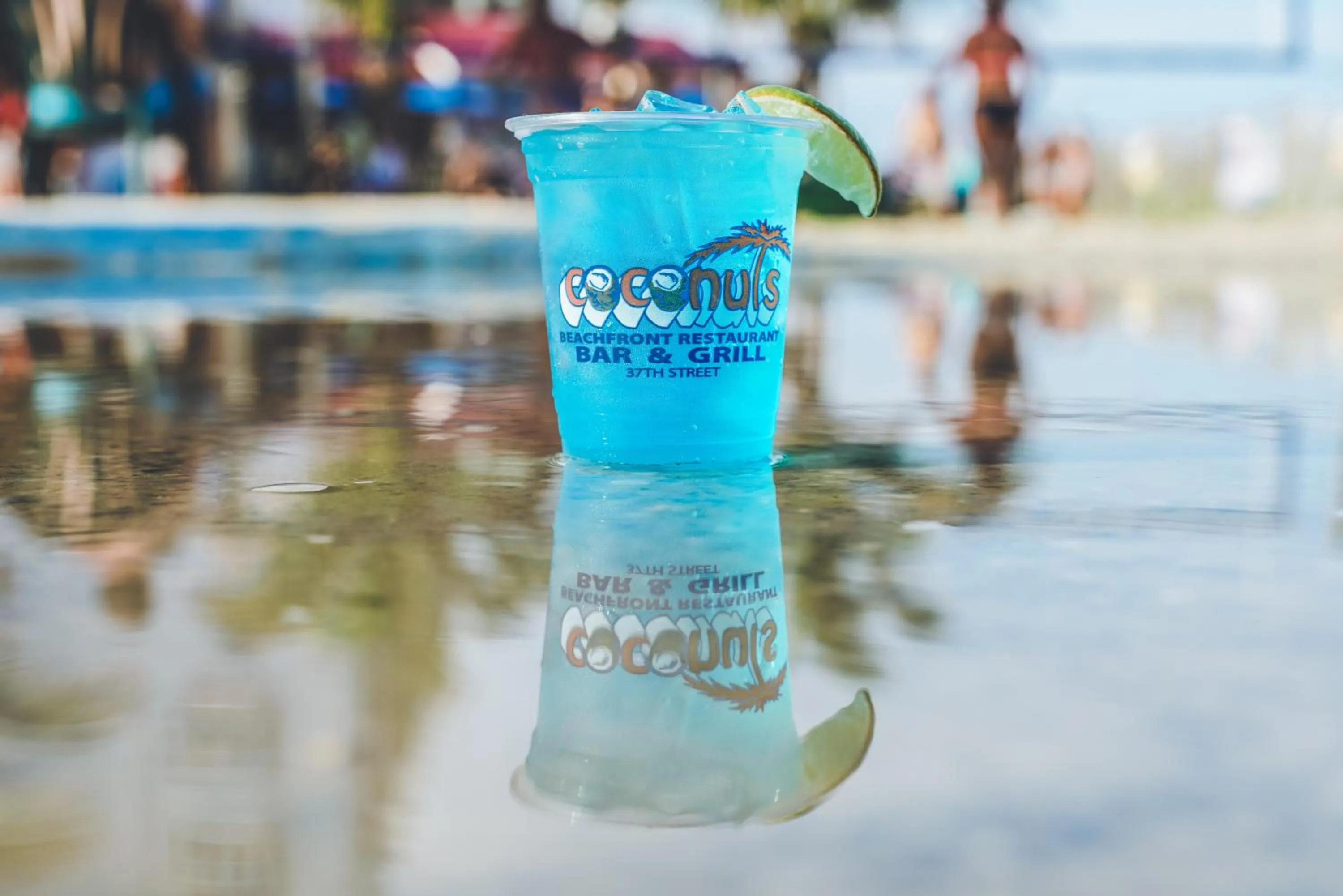 Lounge or bar in Castle in the Sand