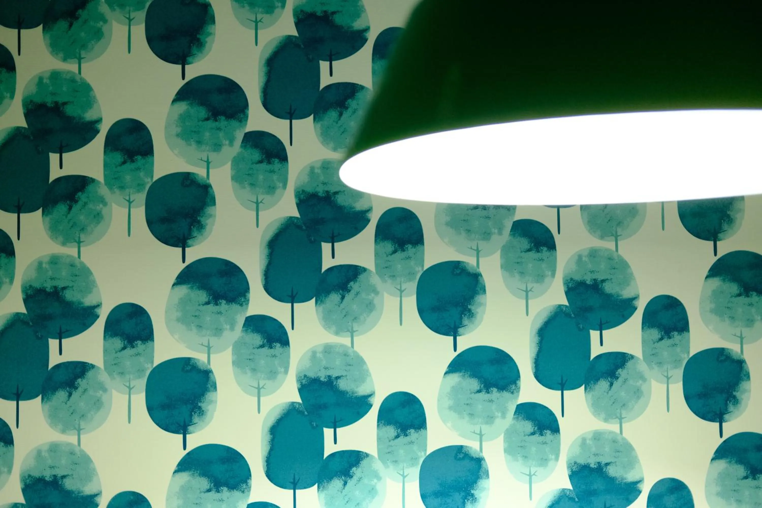 Photo of the whole room in コージーイン 東京桜新町