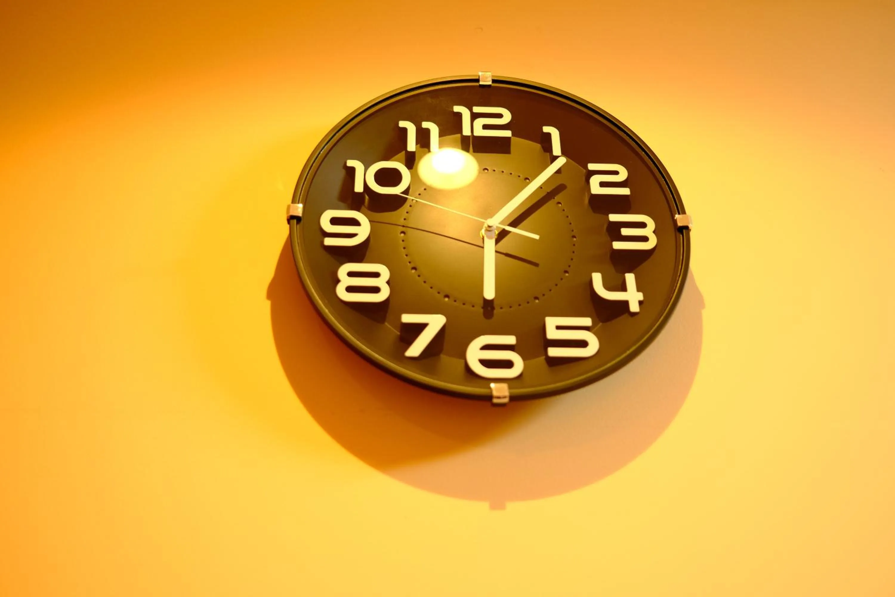 Living room in コージーイン 東京桜新町