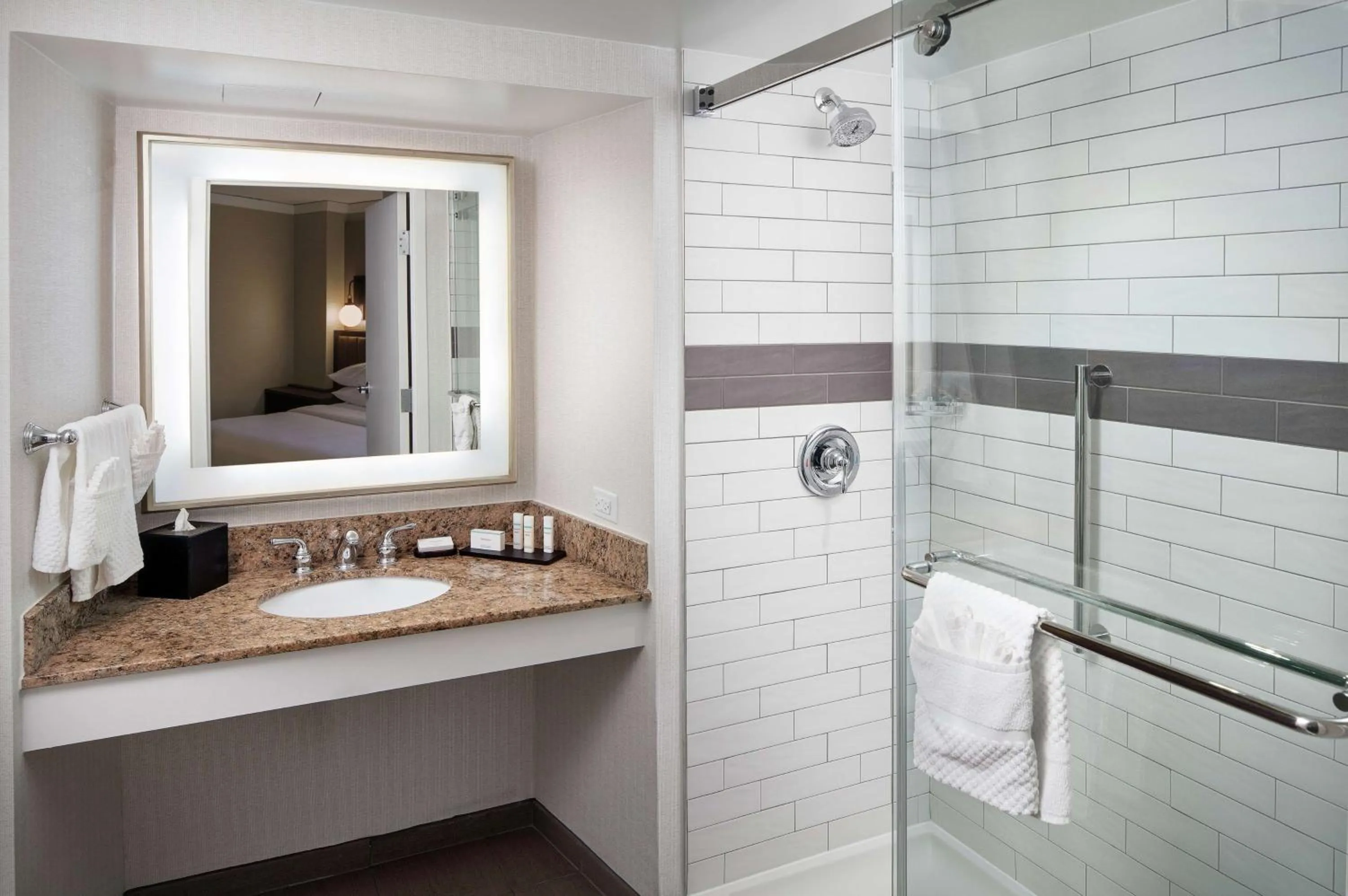 Bathroom in Embassy Suites Tysons Corner