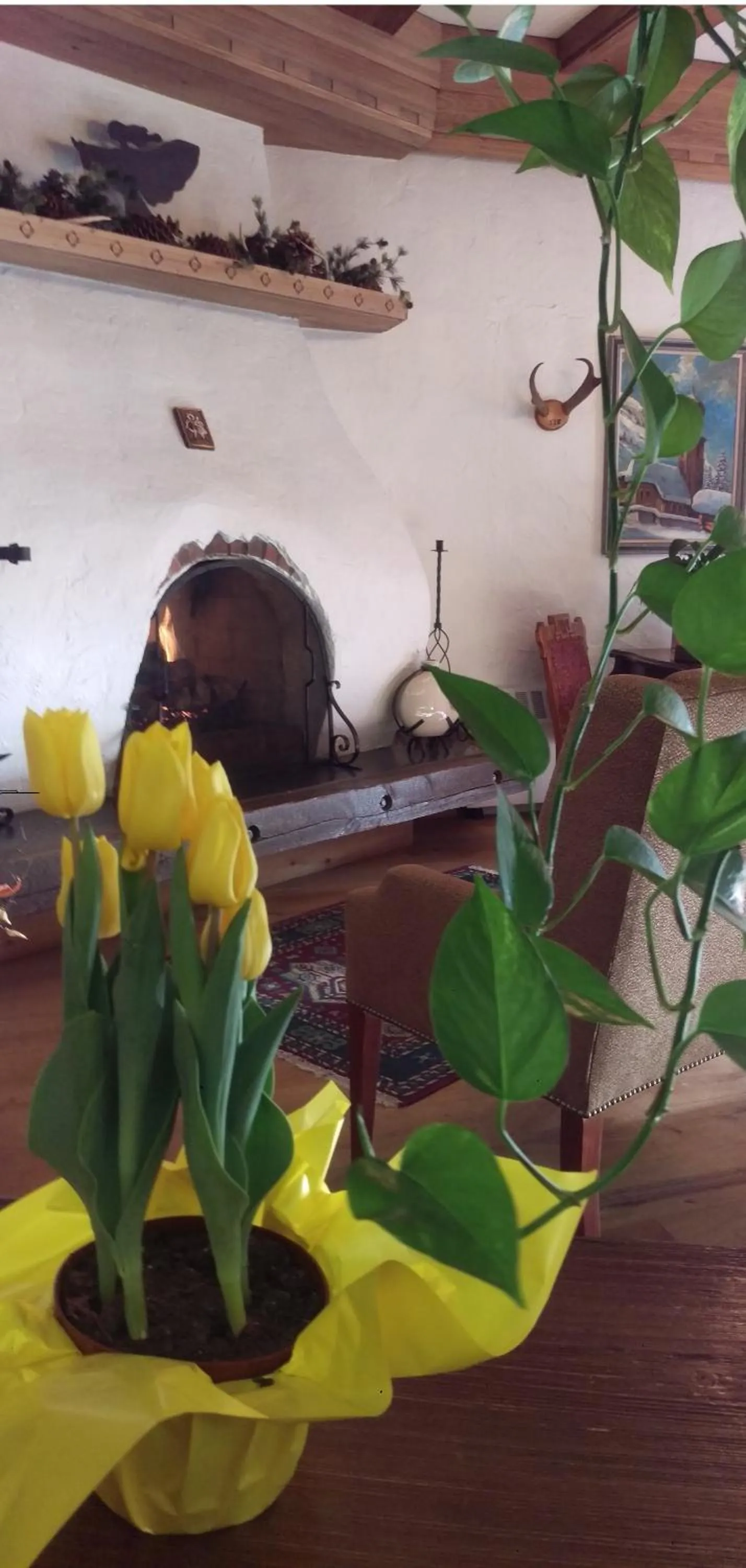 Lobby or reception in Hotel Gasthof Gramshammer