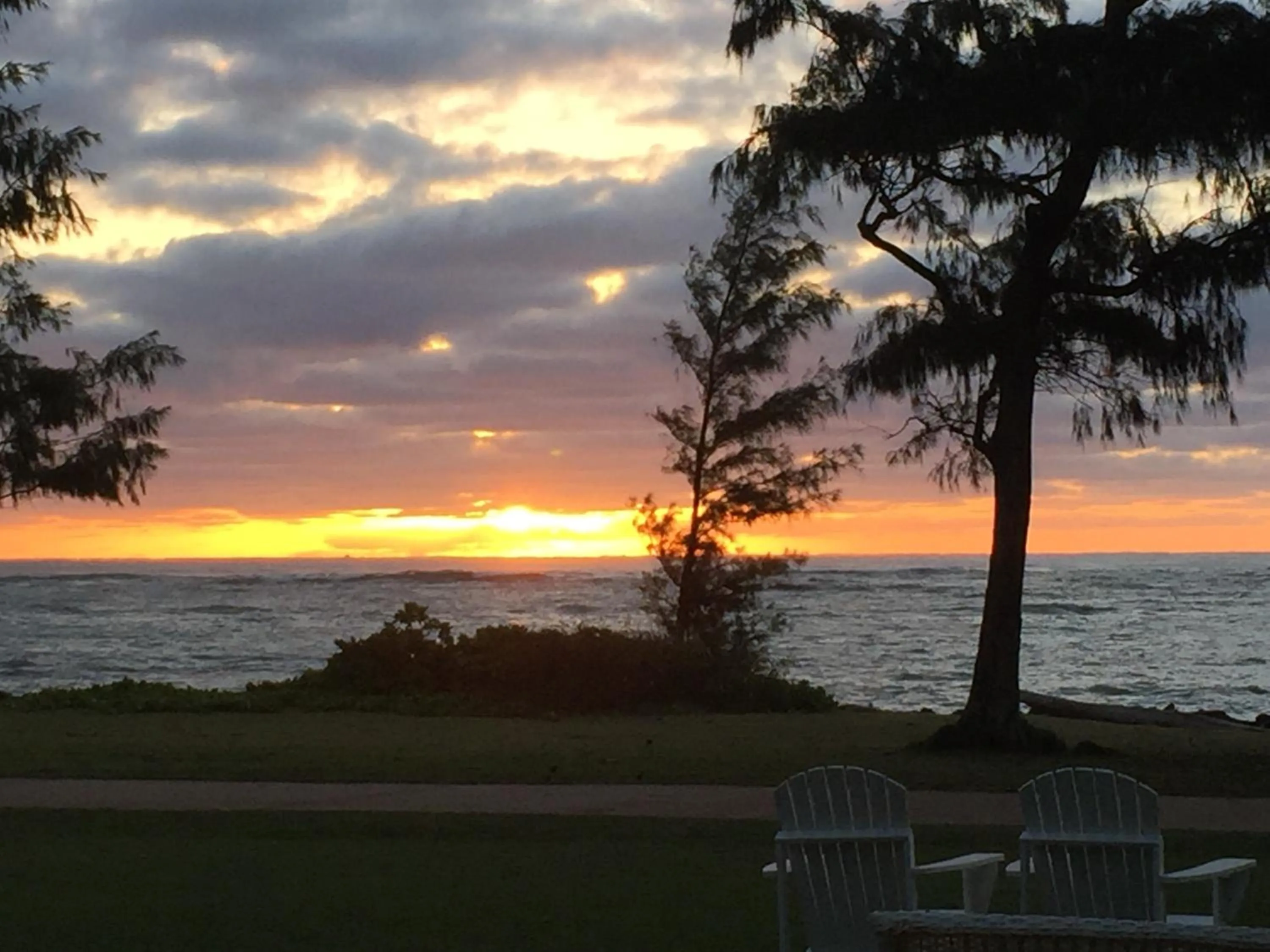 Natural landscape in Hotel Coral Reef