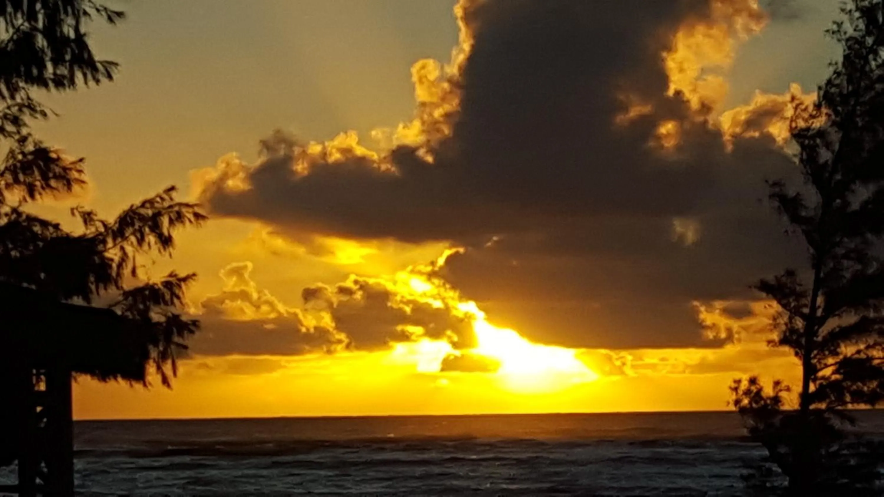 Natural landscape in Hotel Coral Reef