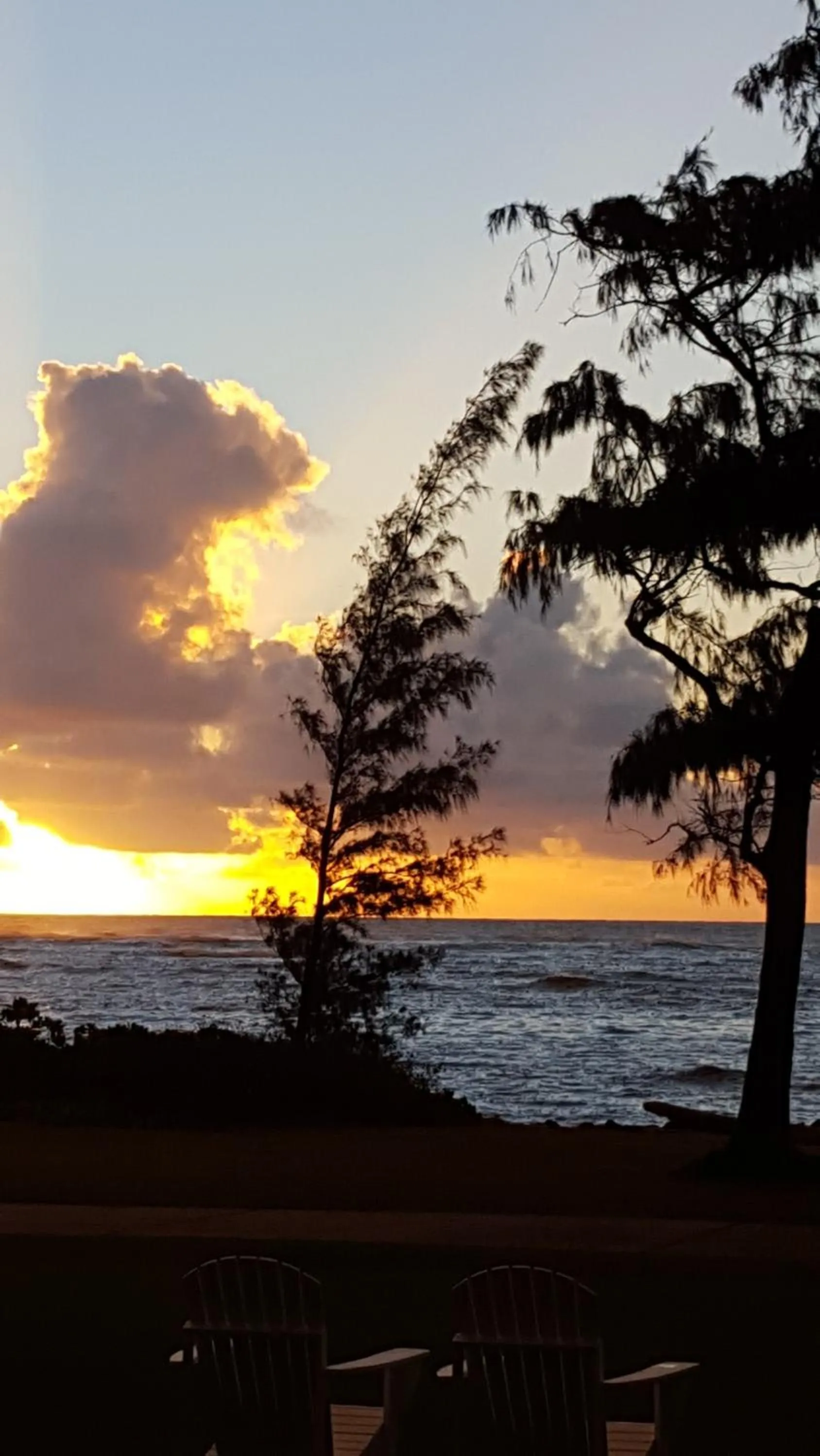 Natural landscape in Hotel Coral Reef