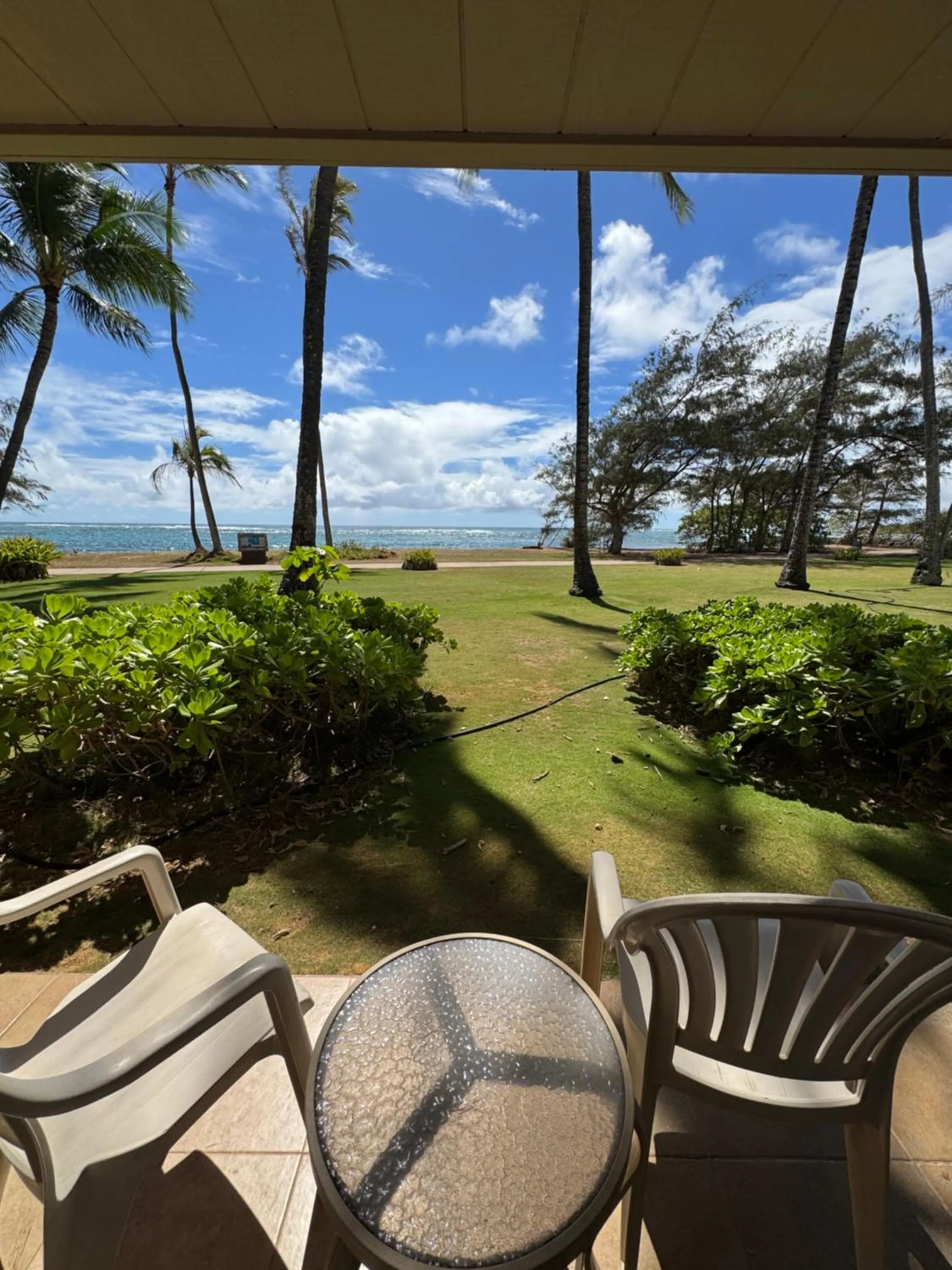 View (from property/room) in Hotel Coral Reef
