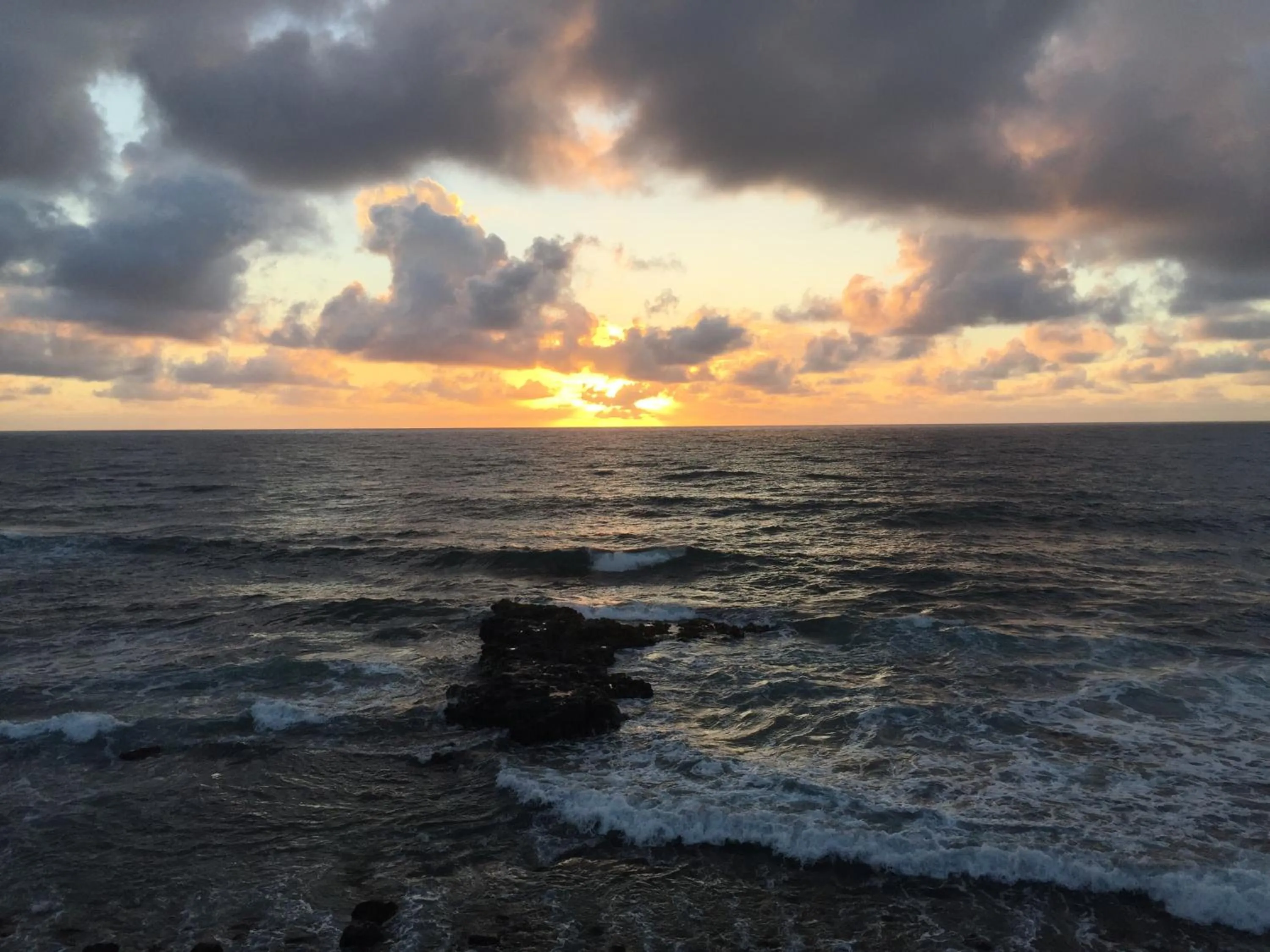 Natural landscape in Hotel Coral Reef