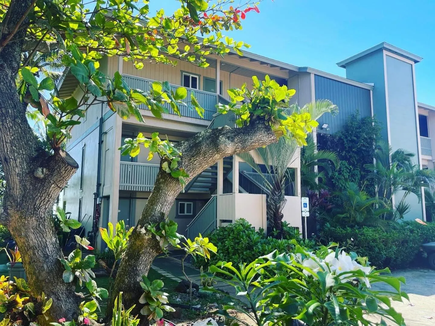 Property building in Hotel Coral Reef