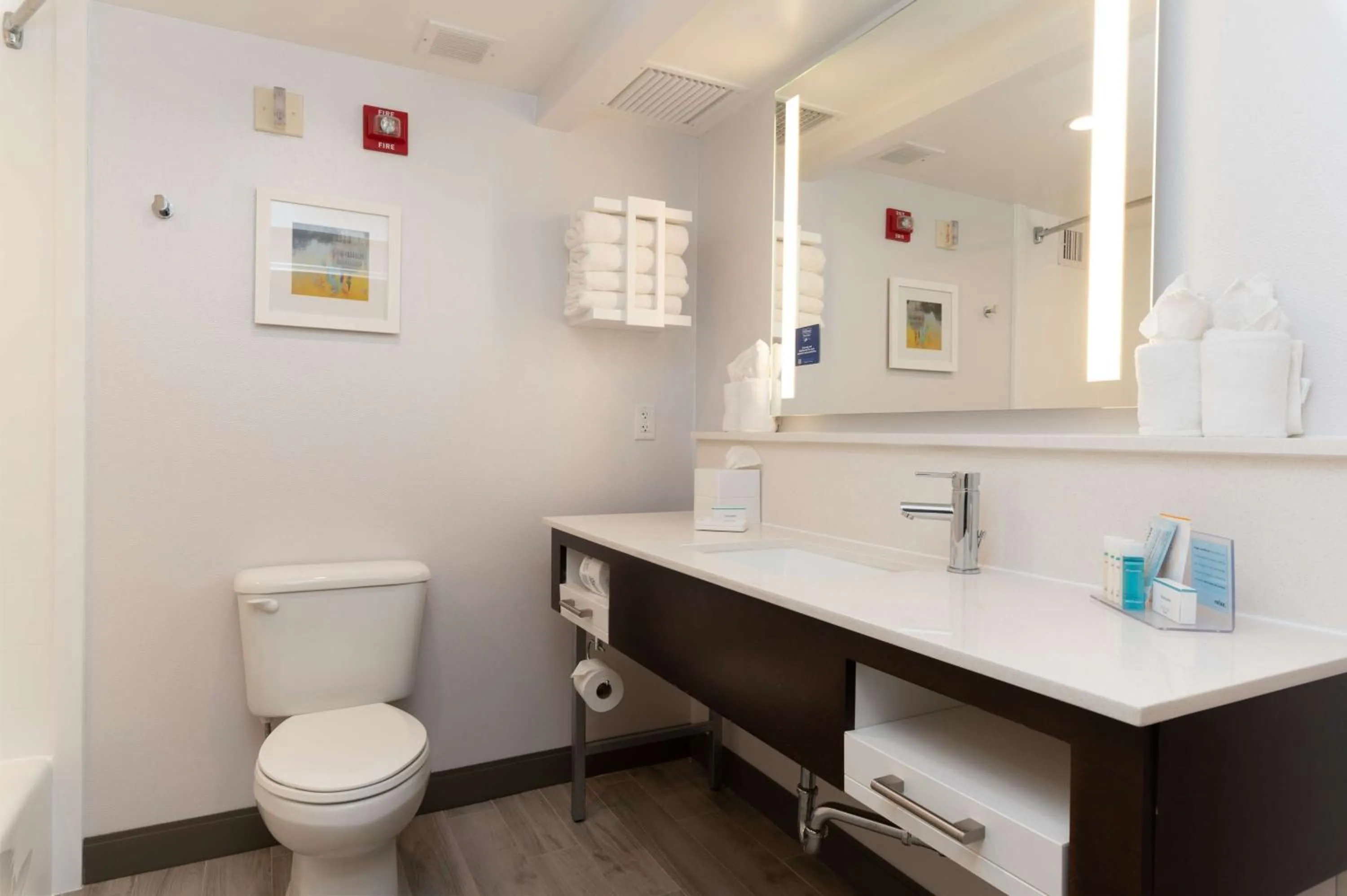 Bathroom in Hampton Inn & Suites Arlington Crystal City DCA