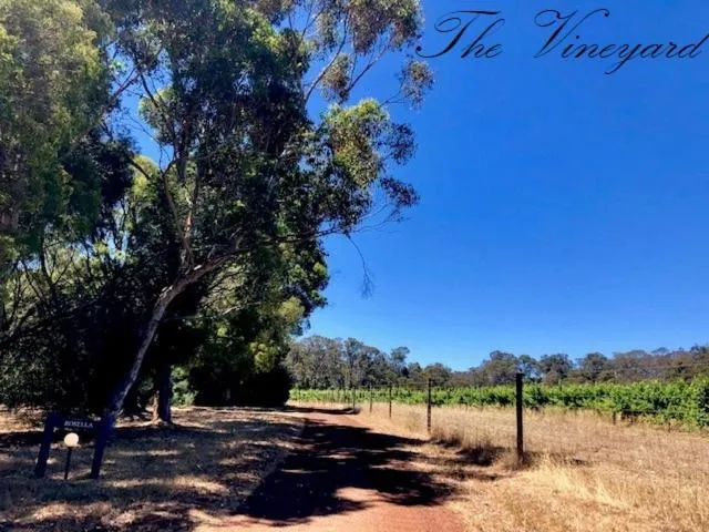 Natural landscape in Harmony Forest Cottages & Lake side Lodge