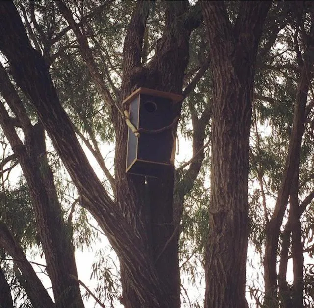 Animals in Harmony Forest Cottages & Lake side Lodge