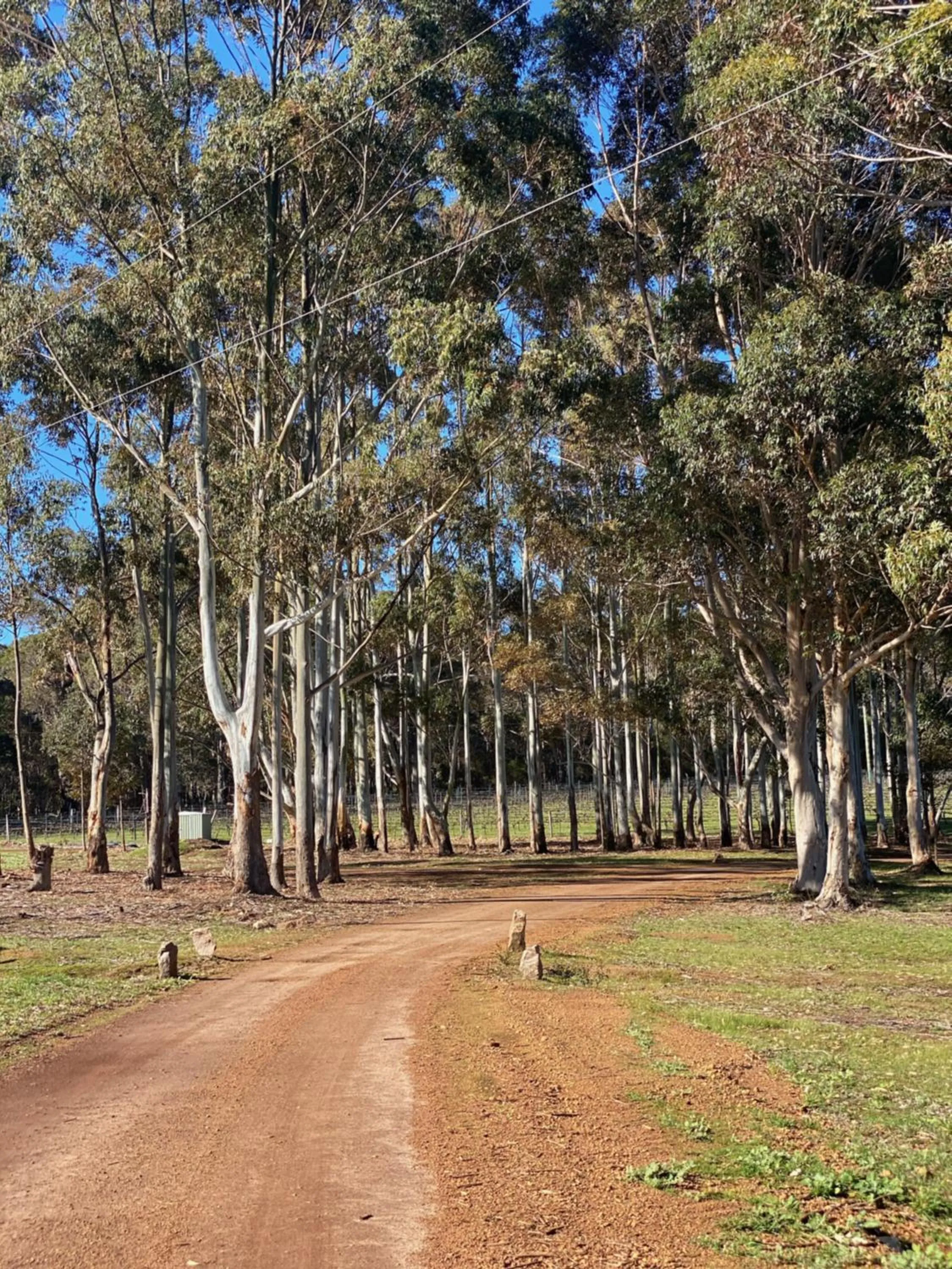 Natural landscape in Harmony Forest Cottages & Lake side Lodge