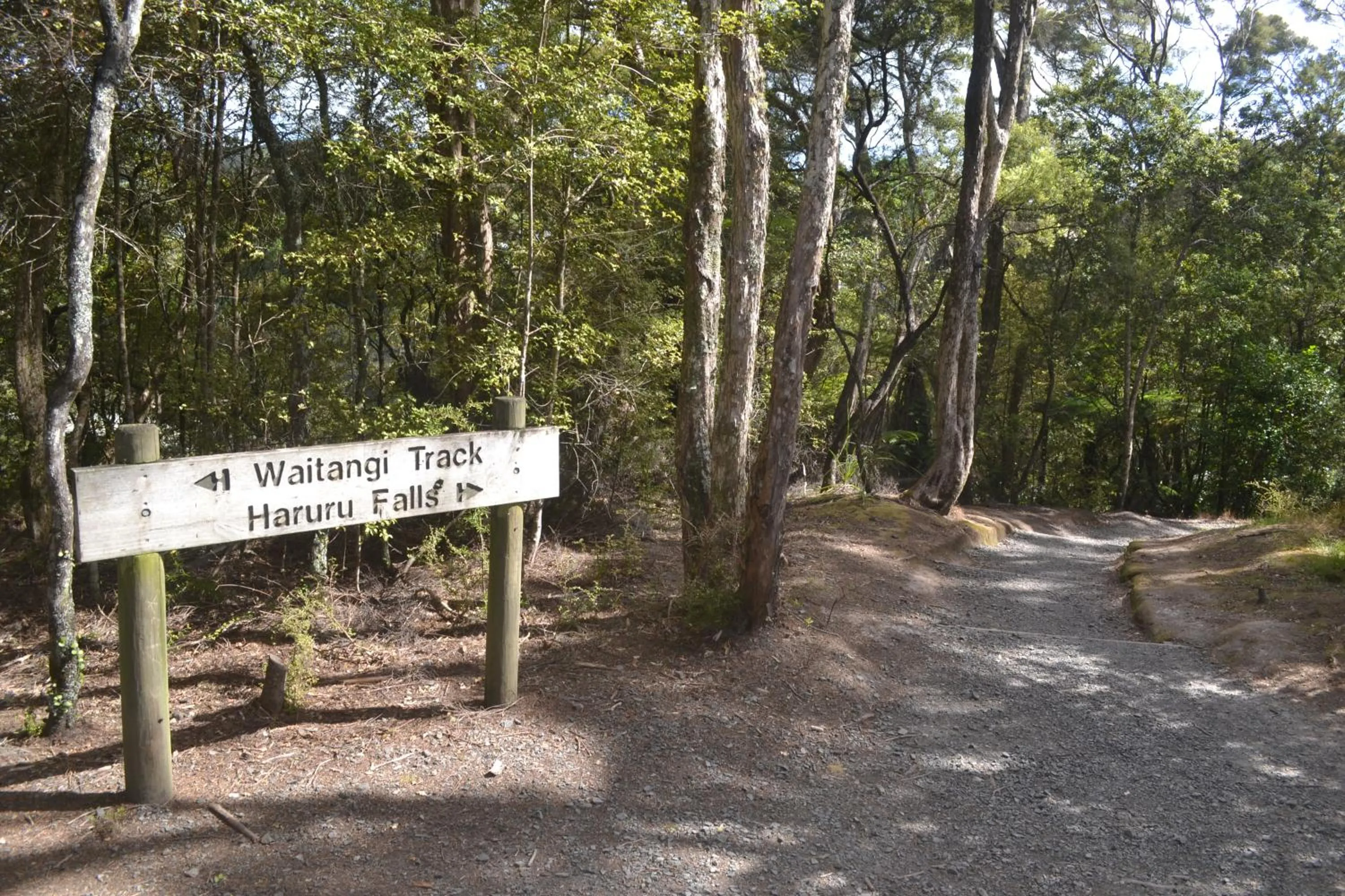 Natural landscape in Waterfalls Estate - Motel & Campground