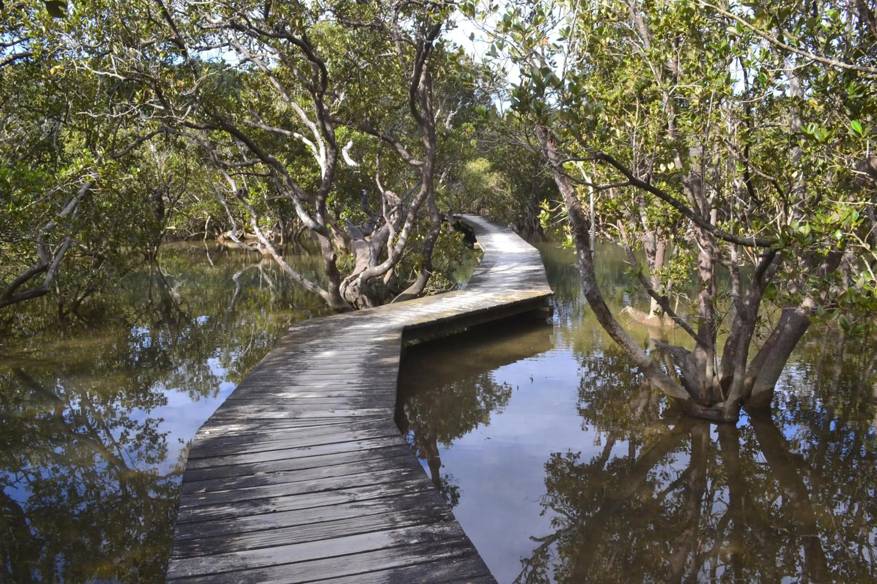 Hiking in Waterfalls Estate - Motel & Campground