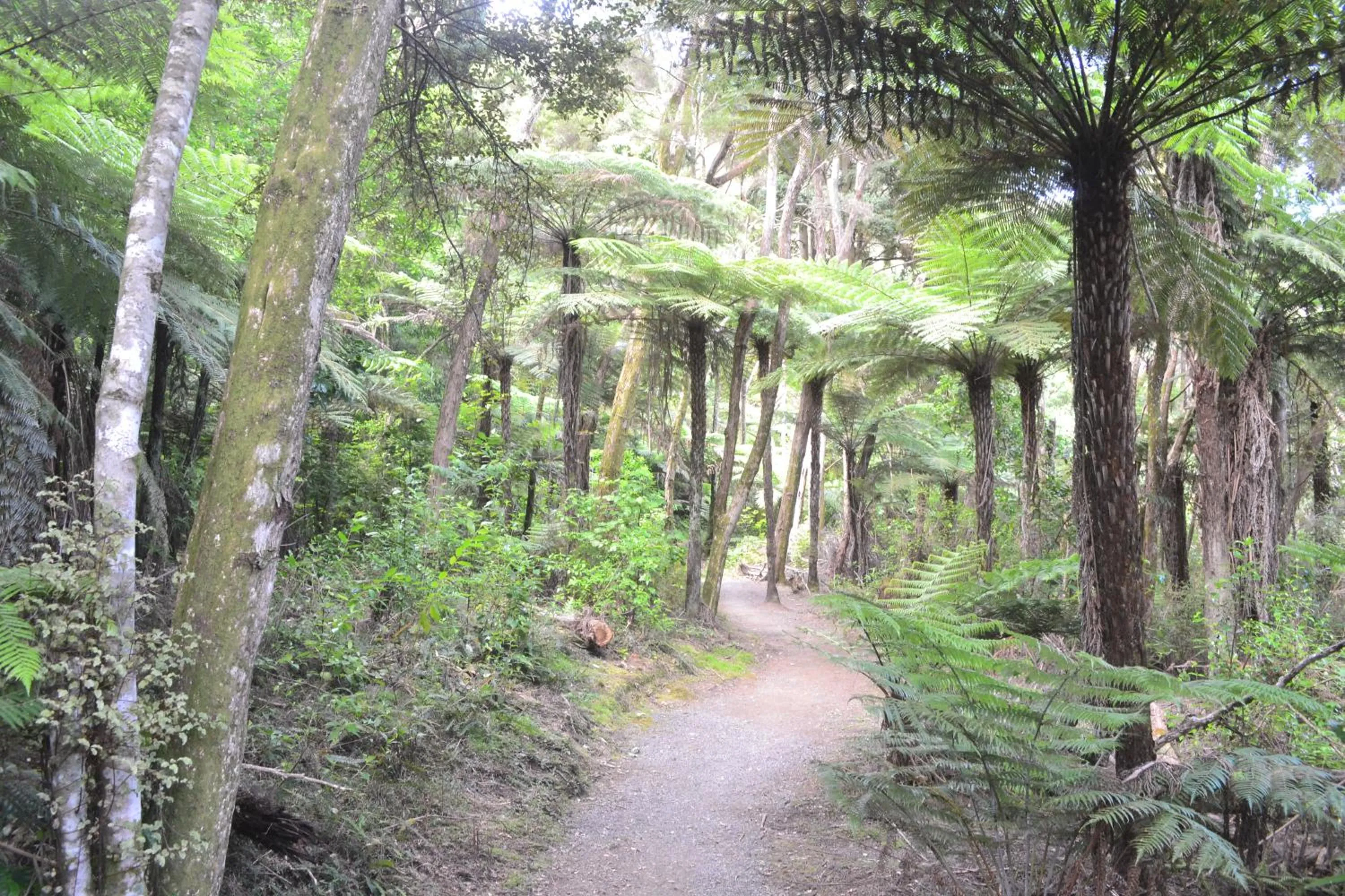 Hiking in Waterfalls Estate - Motel & Campground