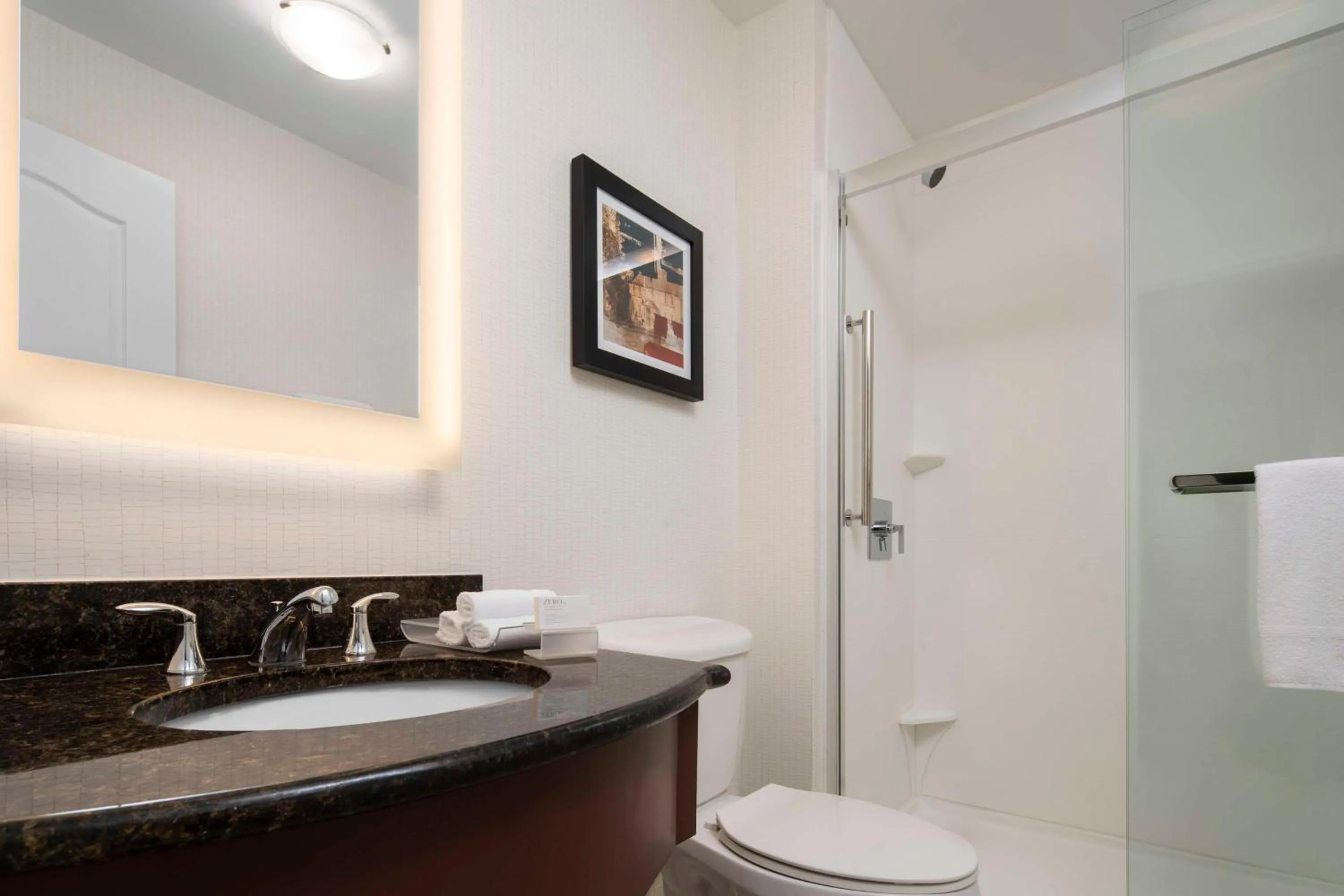 Bathroom in Homewood Suites by Hilton Boston Cambridge-Arlington, MA