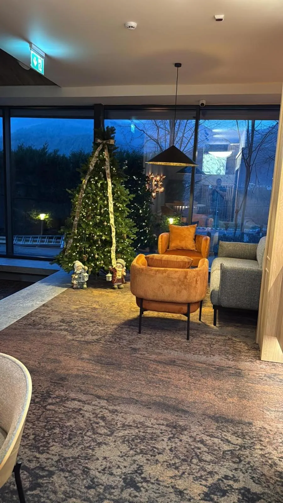 Lobby or reception in Hotel Orizont Cozia