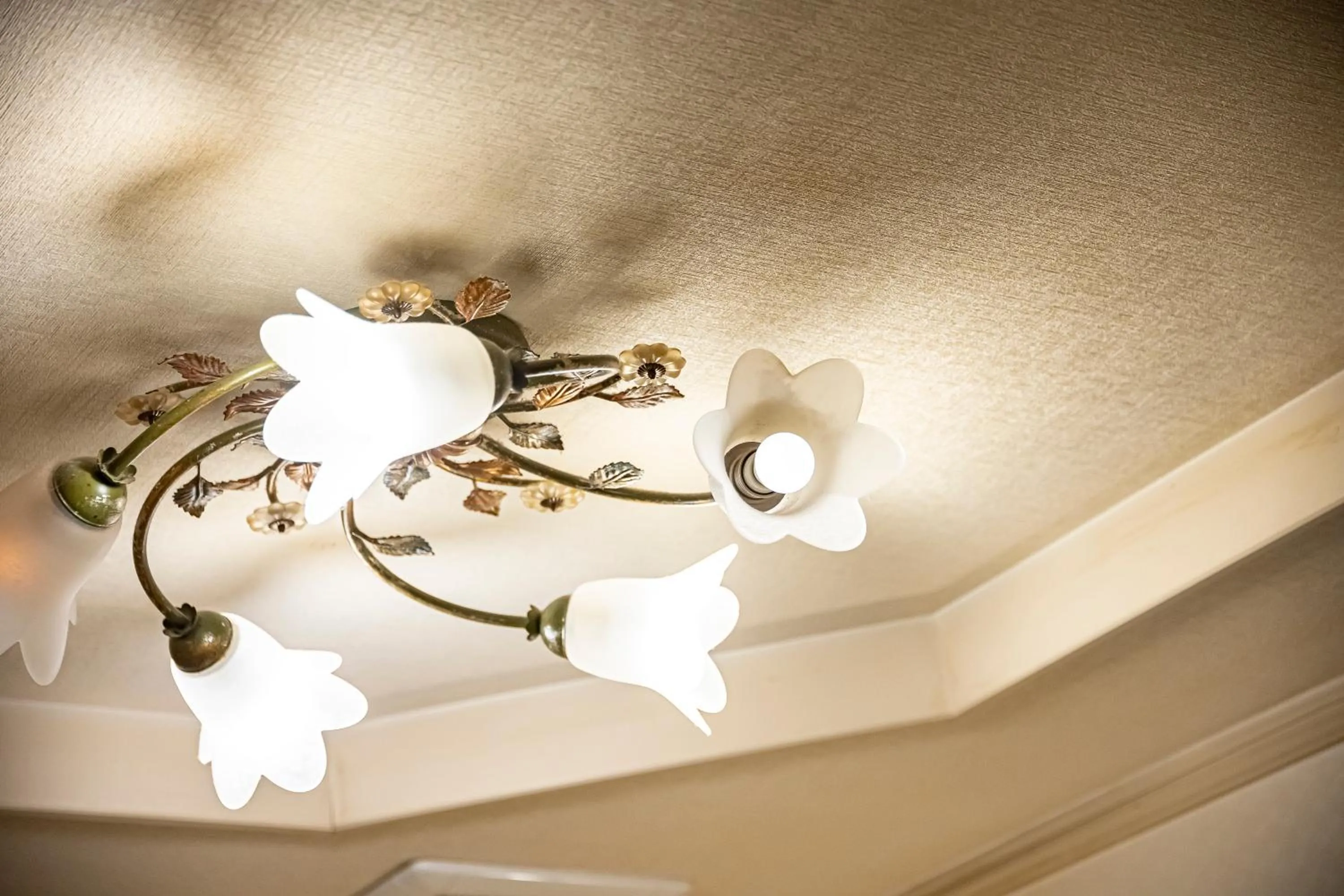 Photo of the whole room in Hotel Hu Namba (Adult Only)