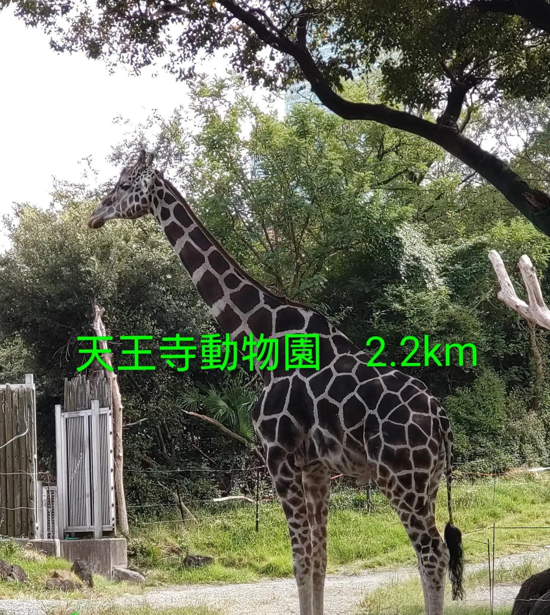 Nearby landmark in Hotel Hu Namba (Adult Only)