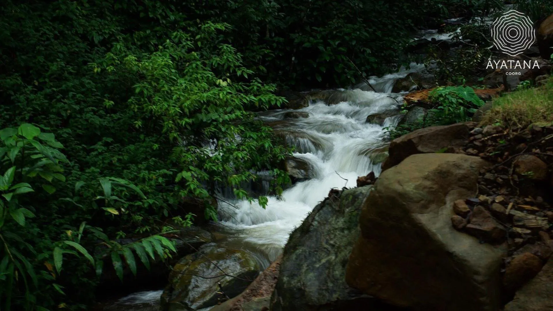 Natural landscape in Ayatana Coorg