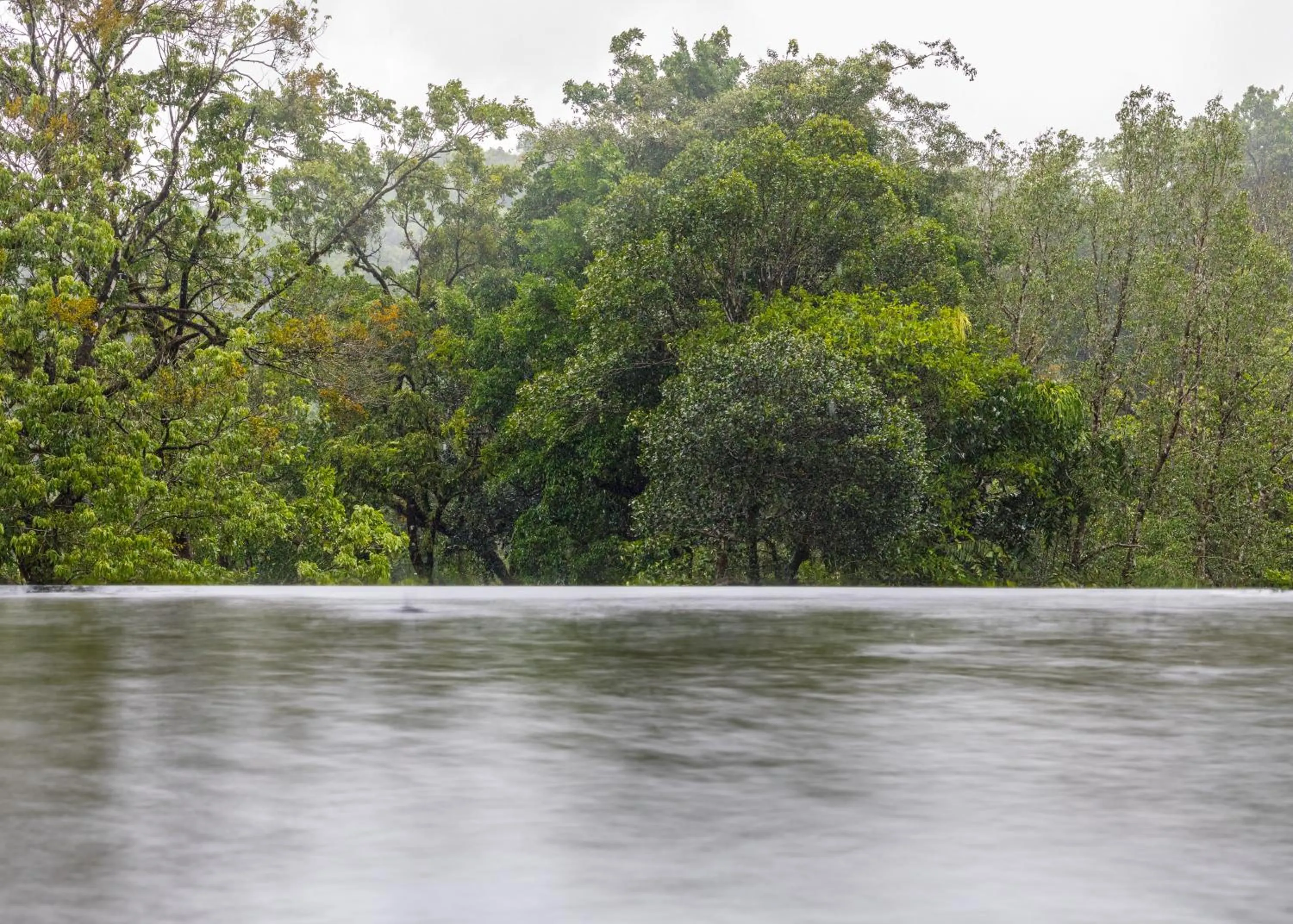 Spring in Ayatana Coorg