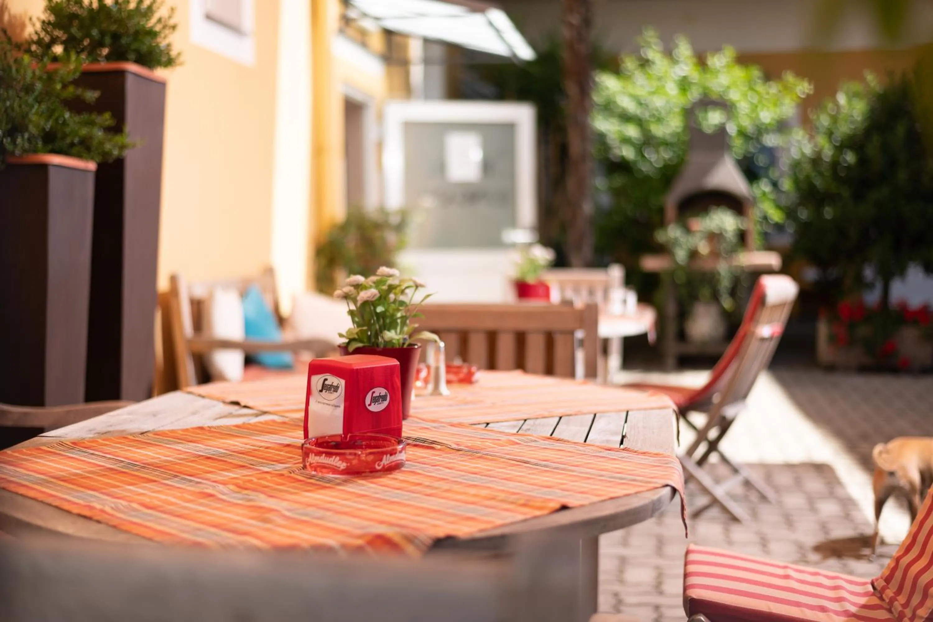 Garden in Hotel Liebetegger-Klagenfurt