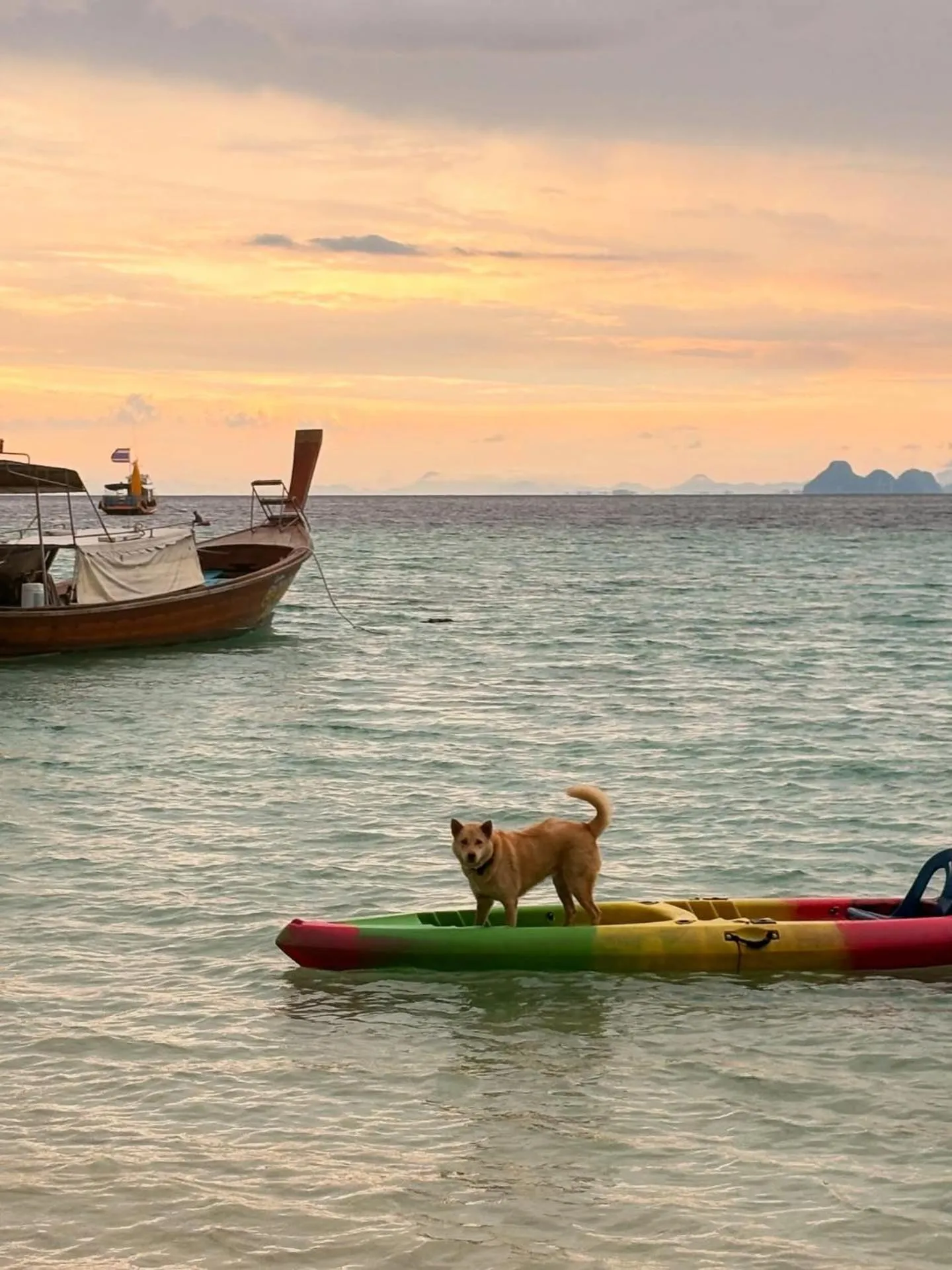 View (from property/room) in Thanya Beach Resort - SHA Plus
