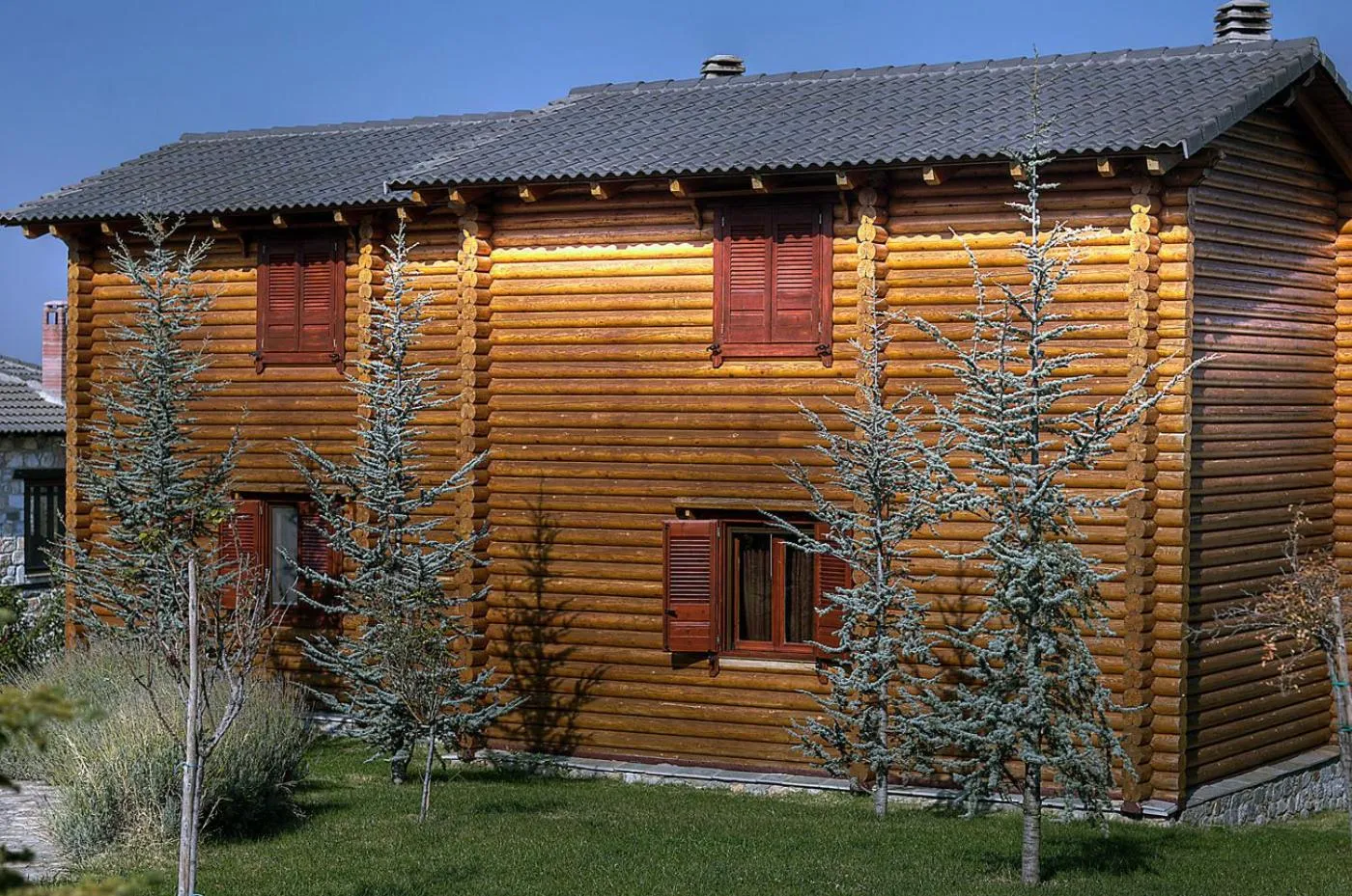 Facade/entrance in To Xilino Chorio