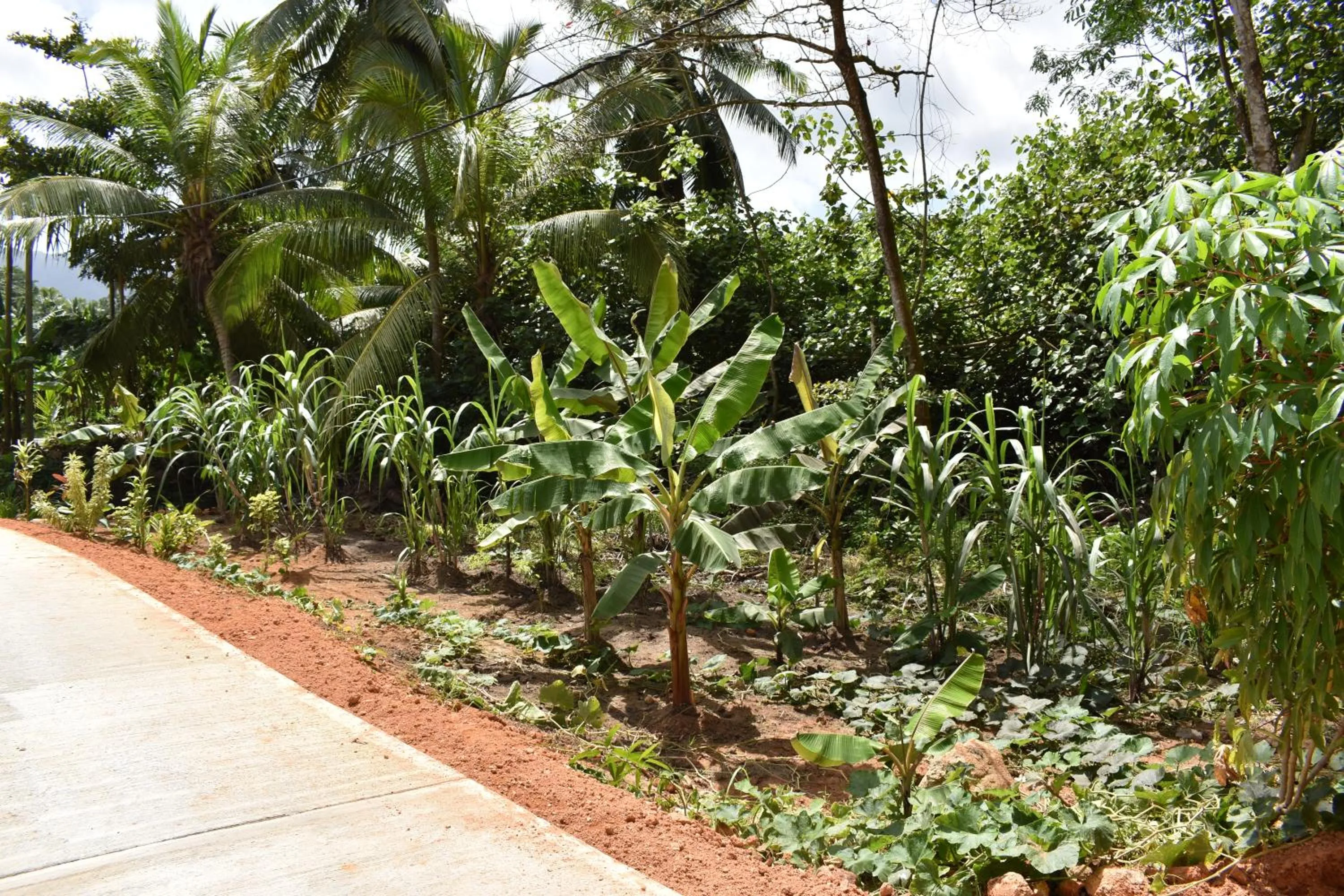 Garden in Kanasuk Self catering Apartments