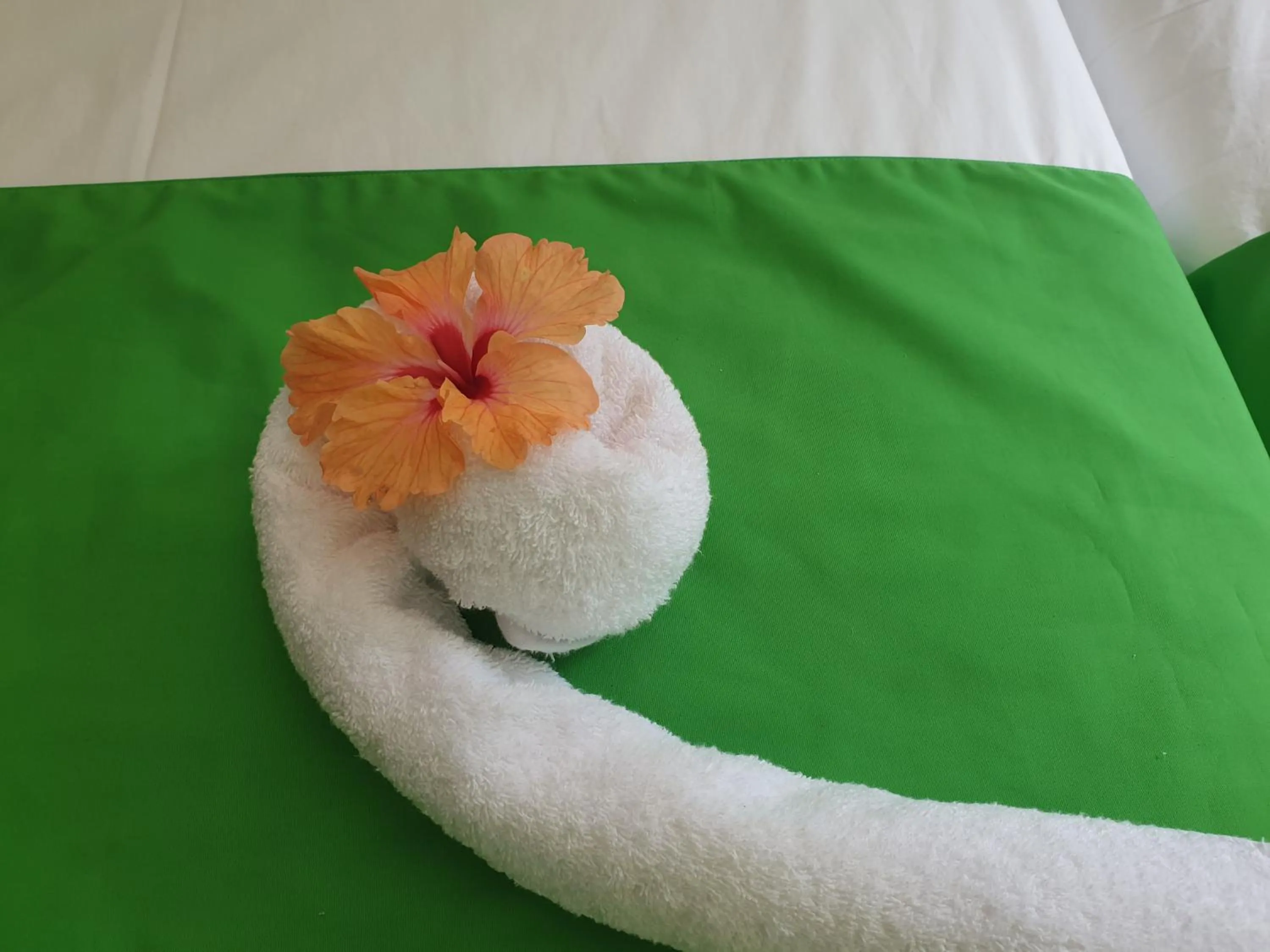 Bed in Kanasuk Self catering Apartments