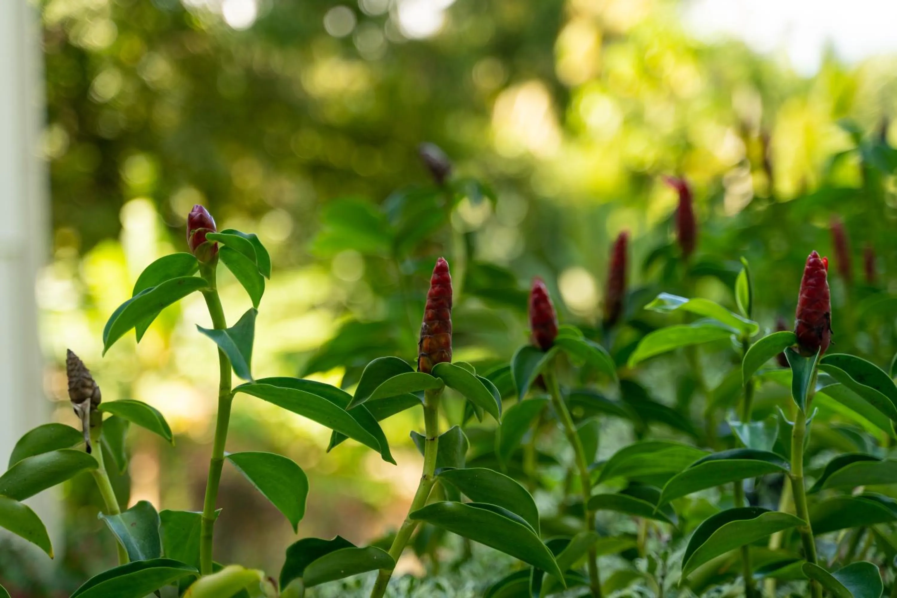 Natural landscape in Kanasuk Self catering Apartments